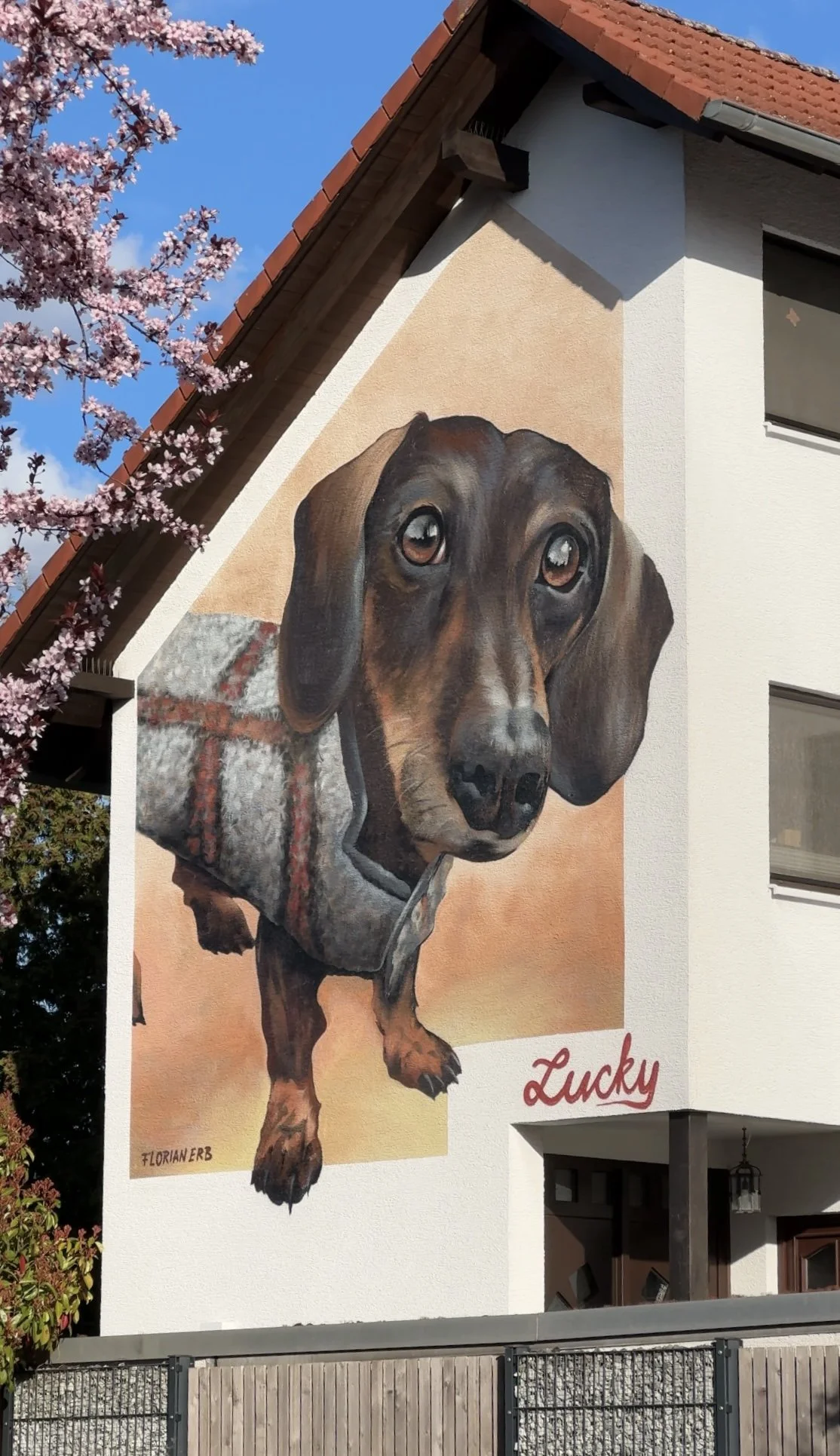 Fassadengestaltung-Dackel-Kunstwerk.JPEG