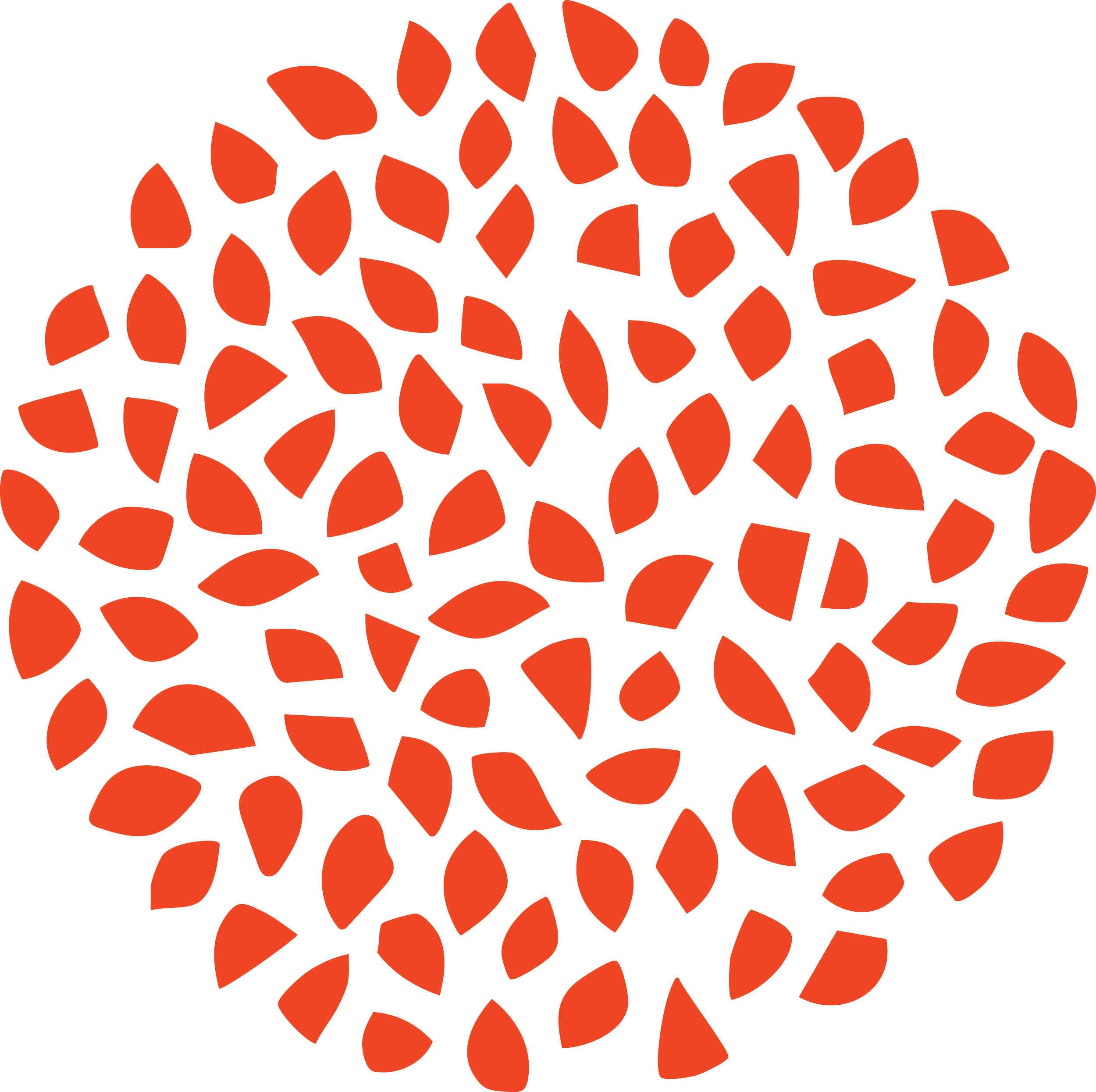 A circular pattern of evenly spaced red leaf shapes on a black background, creating an abstract, floral-like design.