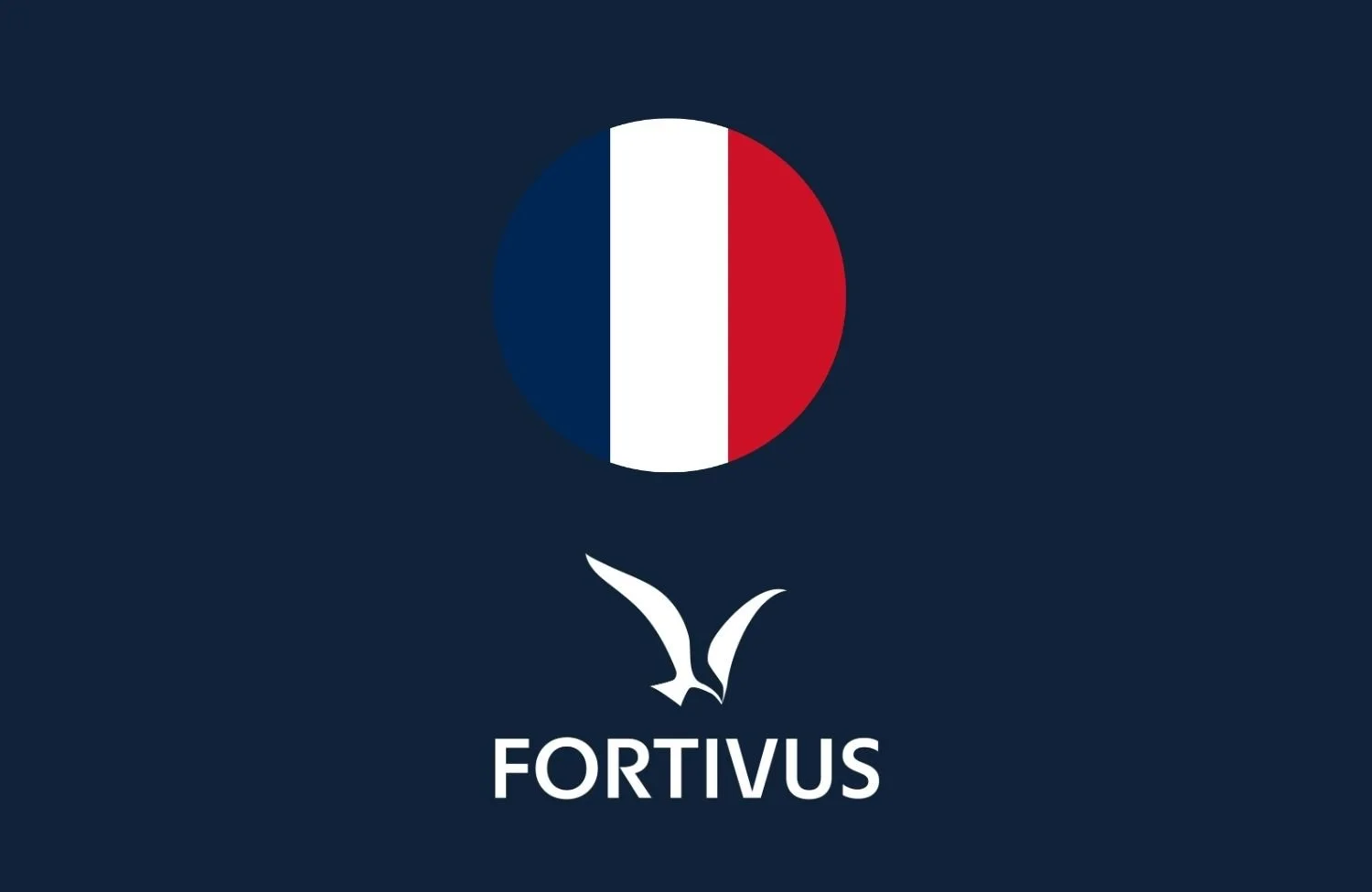 Construisez un monde o&ugrave; la r&eacute;silience est proactive, et non r&eacute;active.
Fortivus est d&eacute;sormais disponible en fran&ccedil;ais!

Fortivus is now in French! 🇫🇷

https://fortivus.com/fr/page-d-accueil

#French #humansecurity #