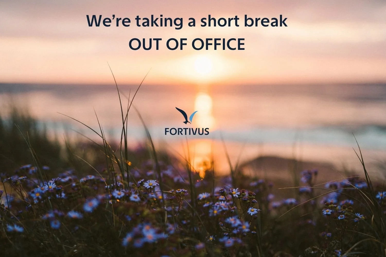 We'll be back on Monday, 3rd August. ☀️