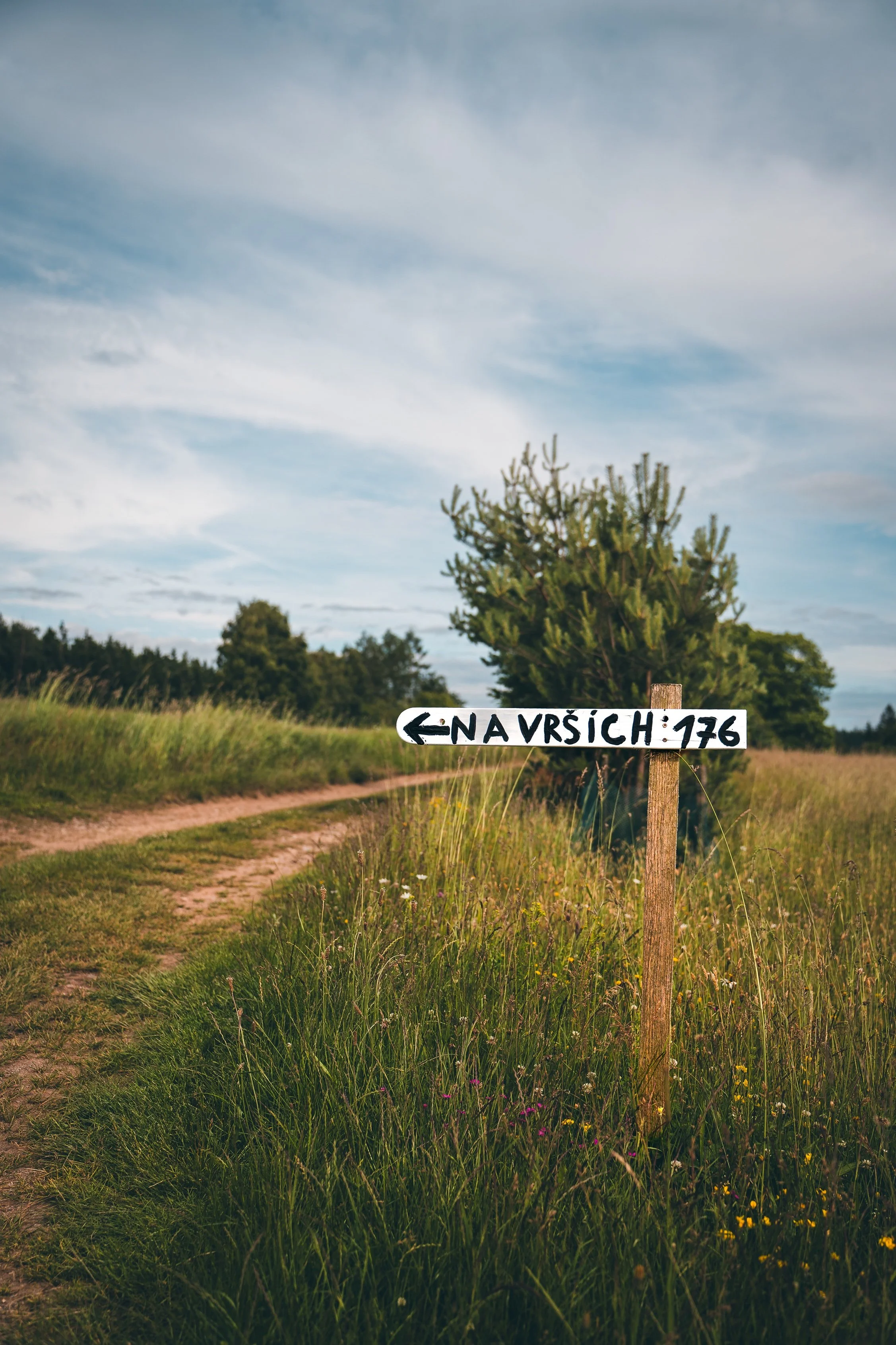 _DSC4239.jpg