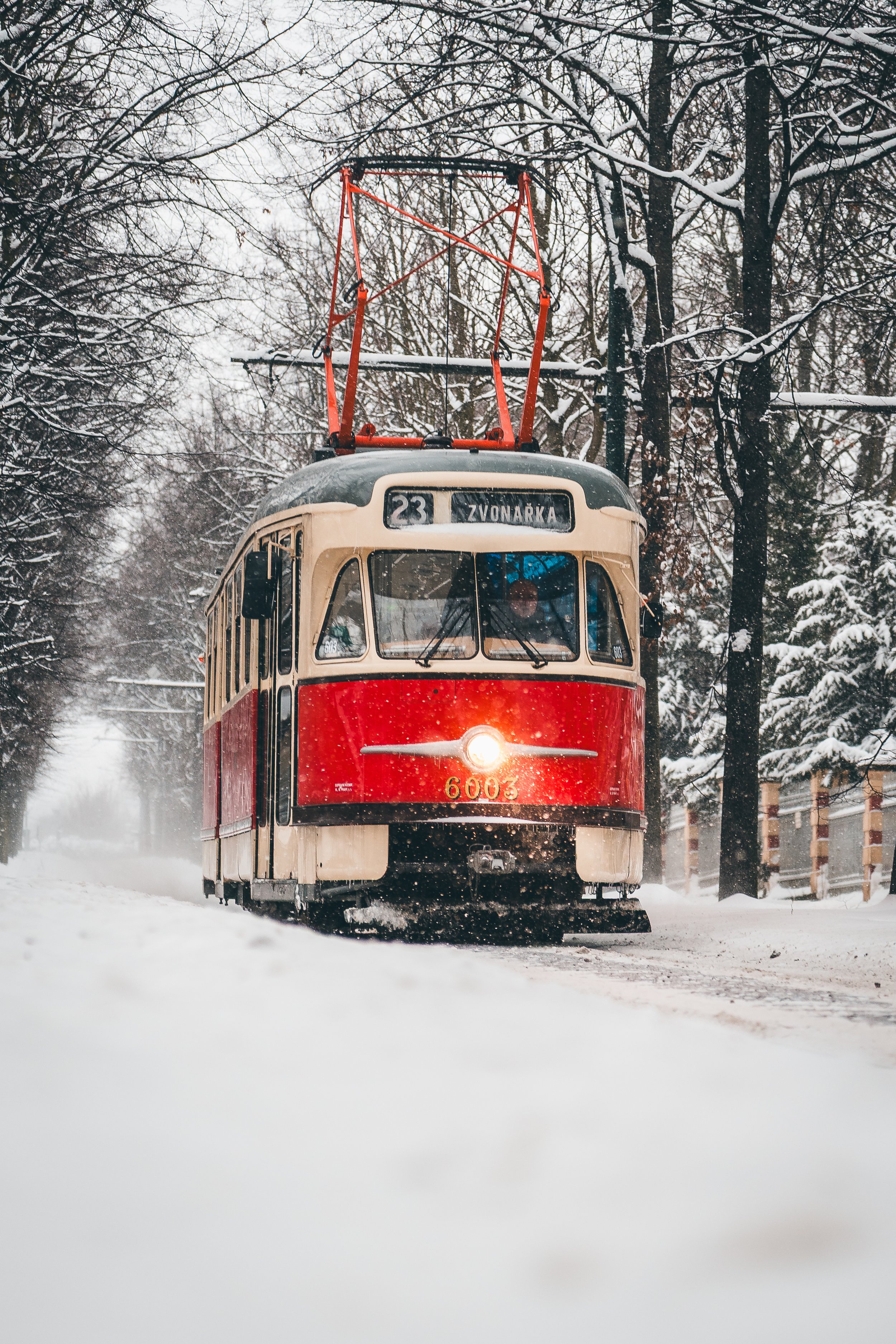 A vintage red and cream tram traveling through a snowy winter landscape with snow-covered trees.
