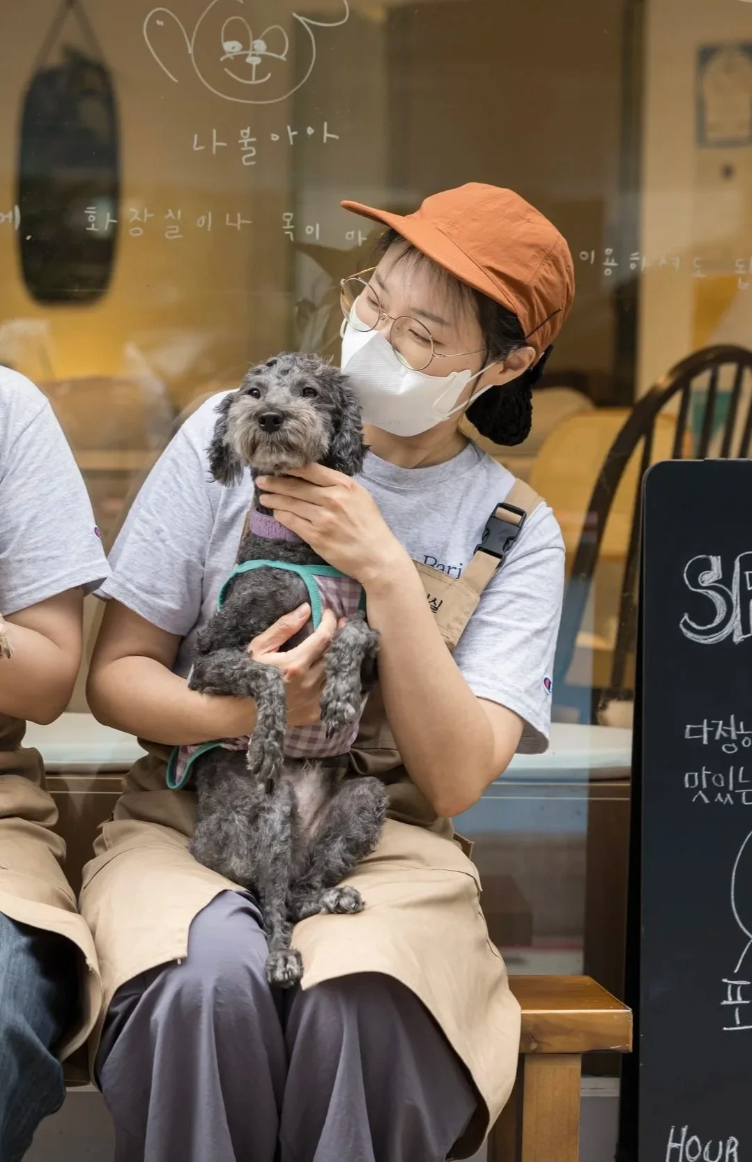 A woman wearing glasses, a face mask, and an orange cap is sitting on a bench holding a gray curly-haired dog. The woman is smiling and looking at the dog, which she is gently holding around the neck. In the background, there is a glass wall with some writing and a drawing of a bear's face.