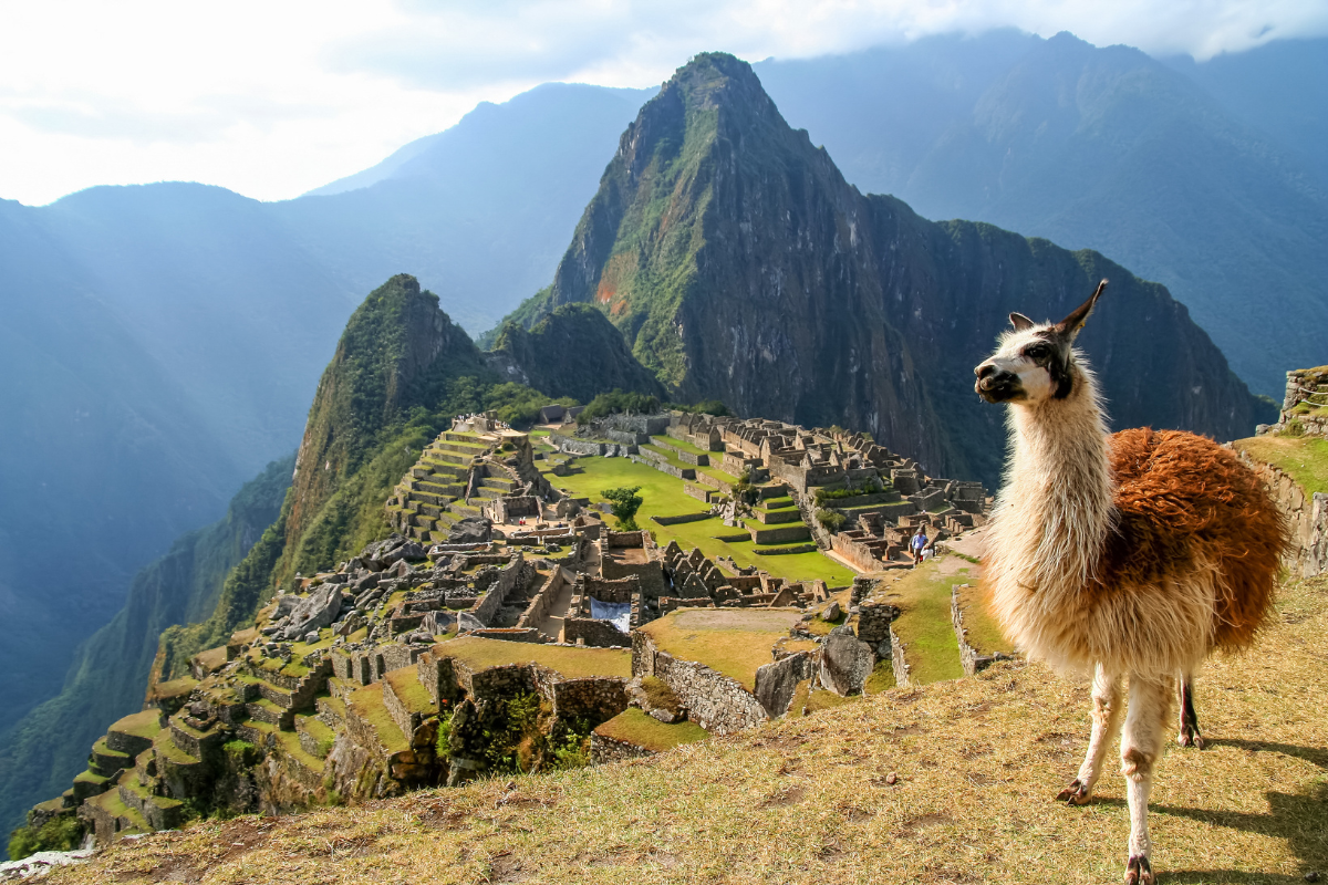 Lost in Peru