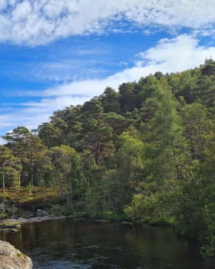 This week is demystifying death week; shining a light on death, dying and bereavement in Scotland. I thought I'd share a wee bit of information and some excellent websites which are packed full of options,  learning and support.  I hope it is helpful