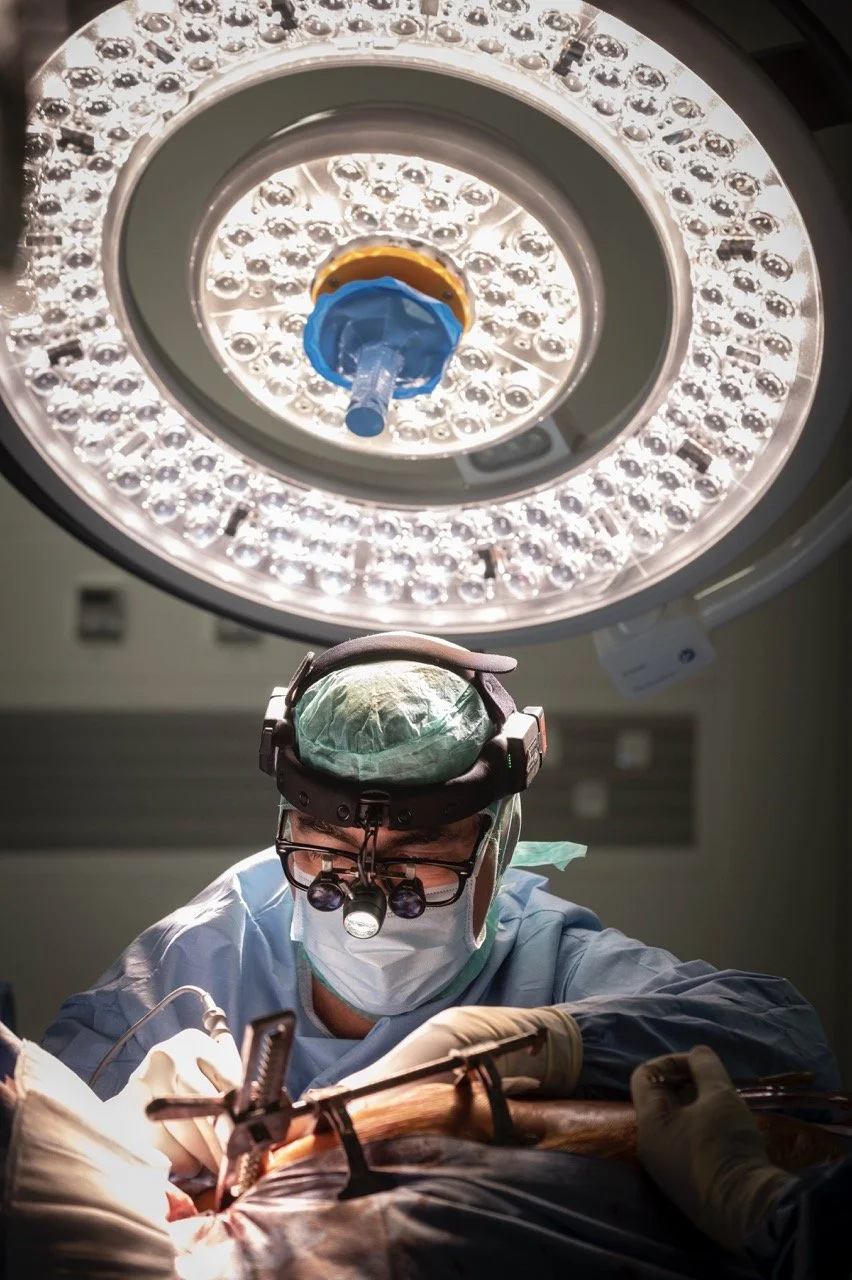 _DSC3036 - Grande.jpeg