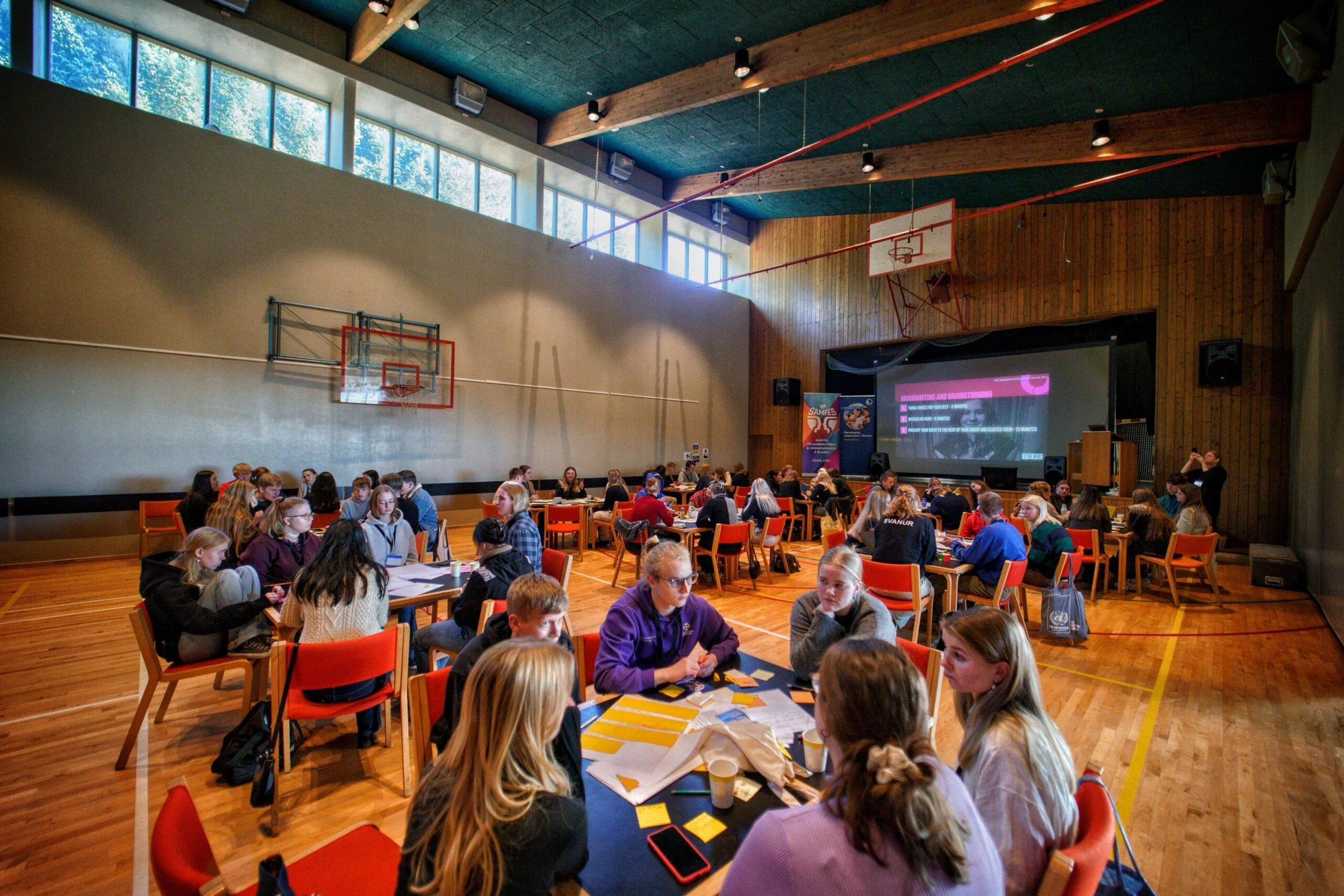 Ráðstefnan Young people and the future - Education for sustainable development