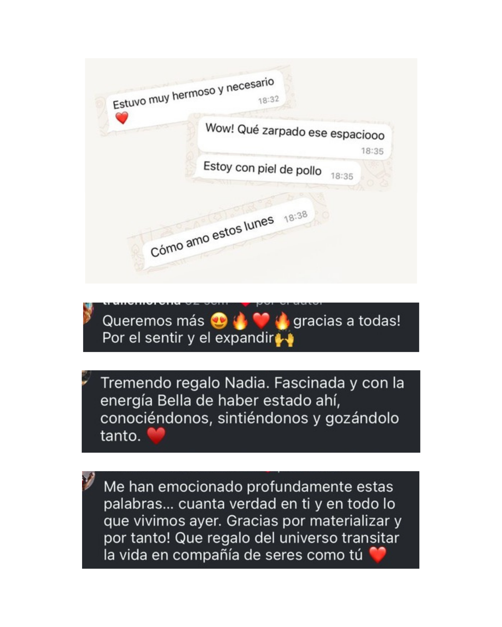 Captura de pantalla de un chat con mensajes de agradecimiento, elogios y expresiones de amor y admiración entre amigos o familiares.