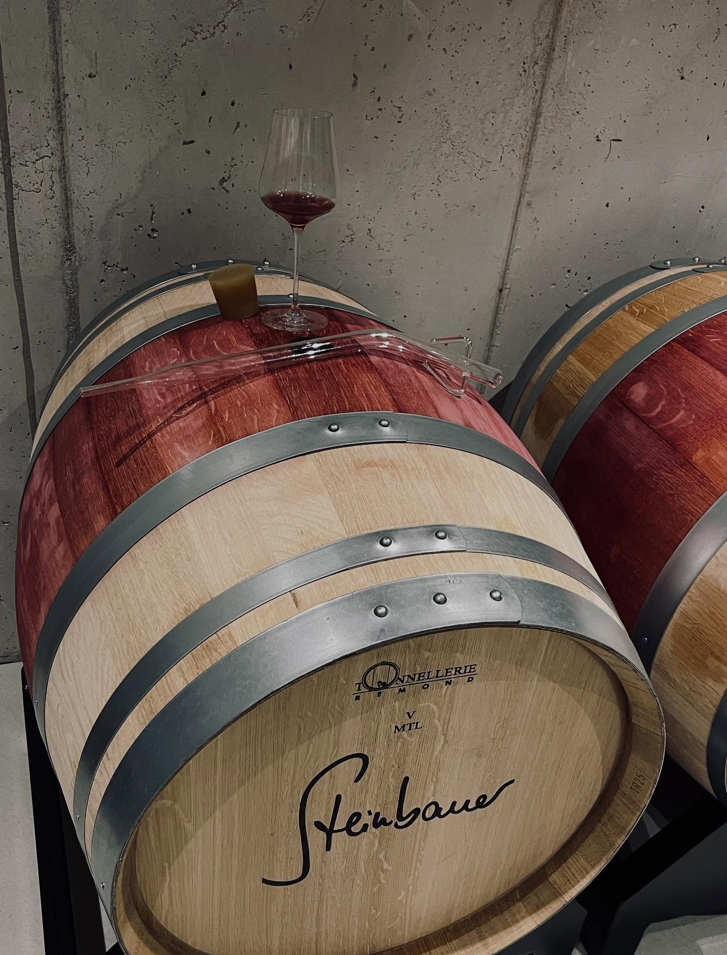 Fassprobe PN 2025
#pinotnoir #steinbauer #steinbauerwein #fassprobe #2025 #winzendorf #rotwein #tonellerieremond #skoffgroup #weinaus&ouml;sterreich