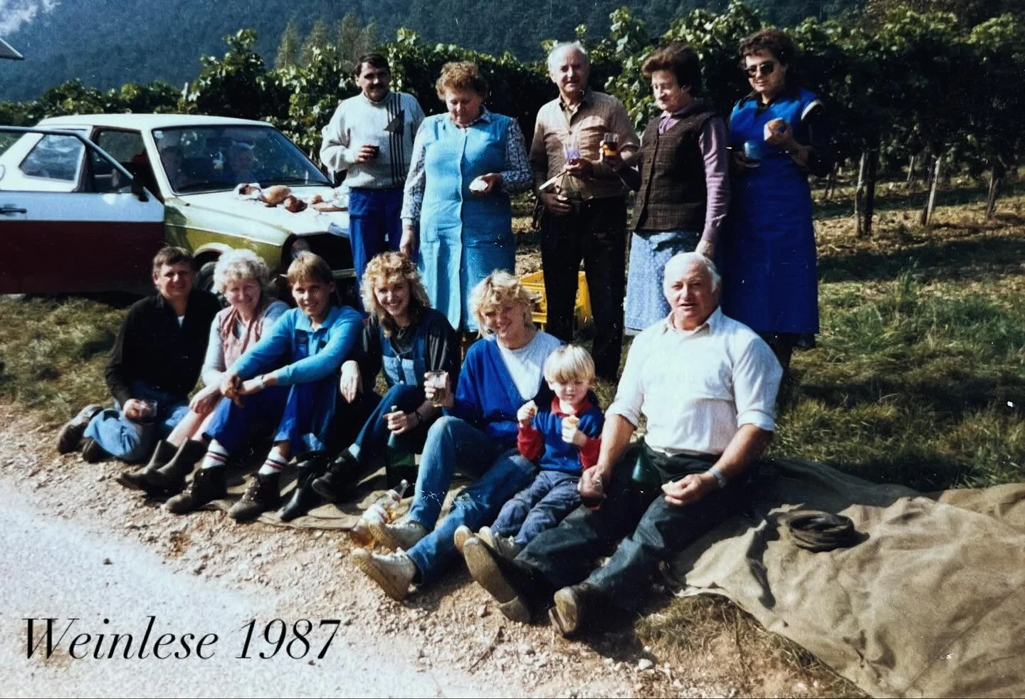 Weinlese 1987: #steinbauer #steinbauerwein #wunderbarejahre #1987 #wein #weinaus&ouml;sterreich #rotwein #weinlese #damals #winzendorf