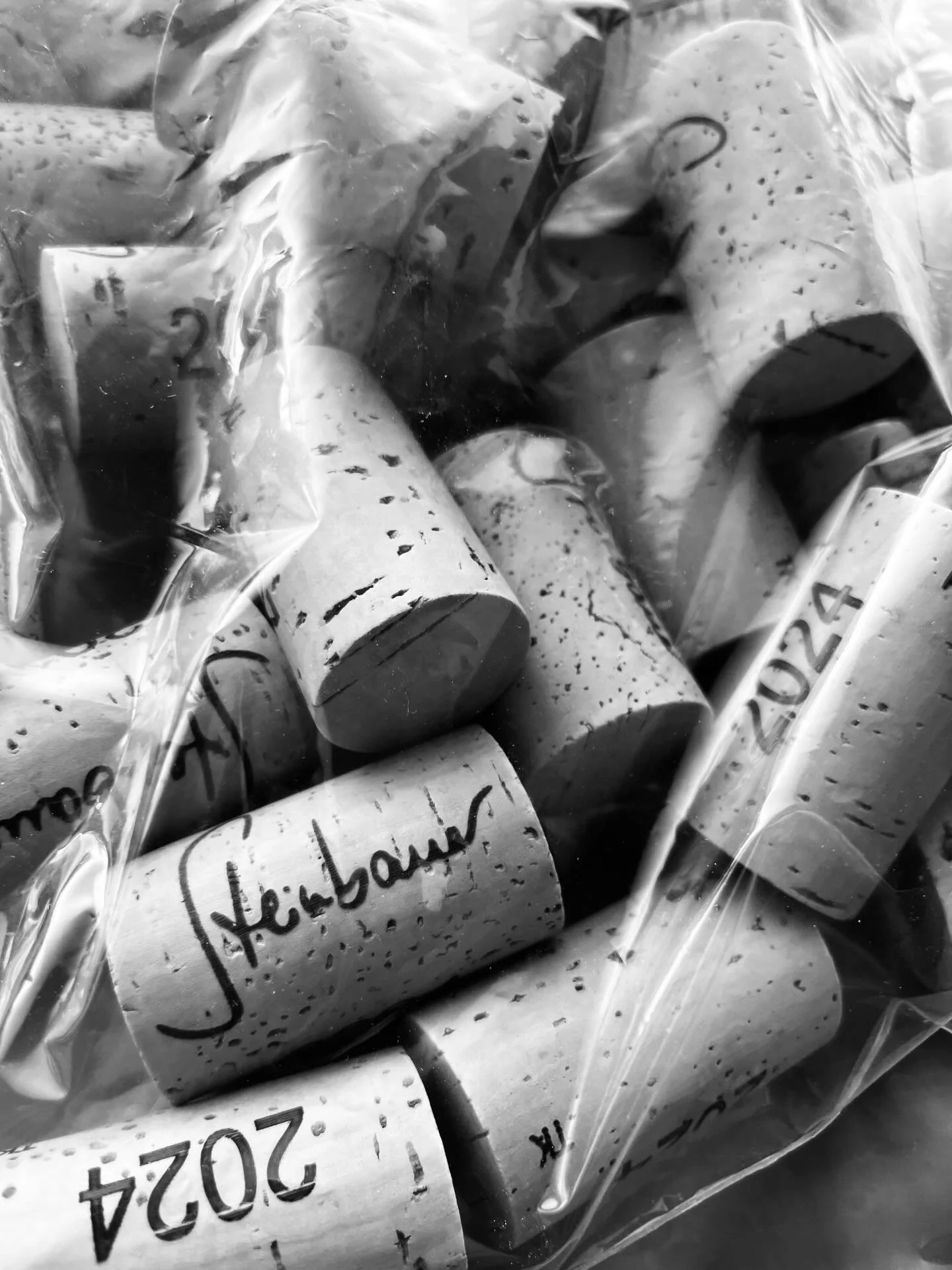 #steinbauer #korken #steinbauerwein  #pinotnoir #2024