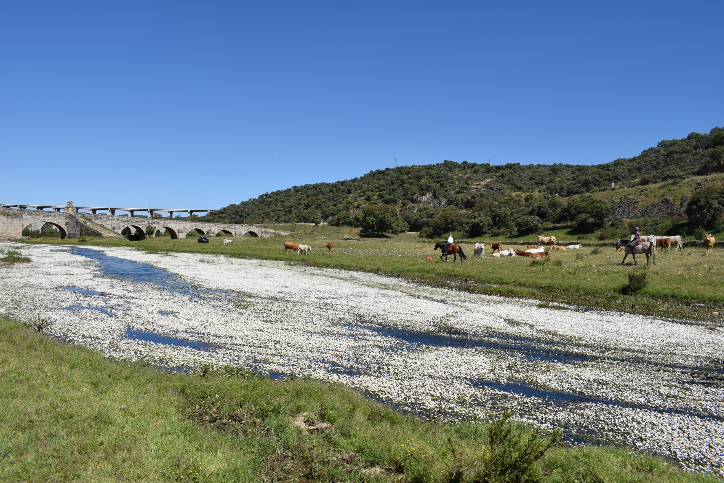 NATIONAL PARK_EXTREMADURA_SPAIN (22).JPG