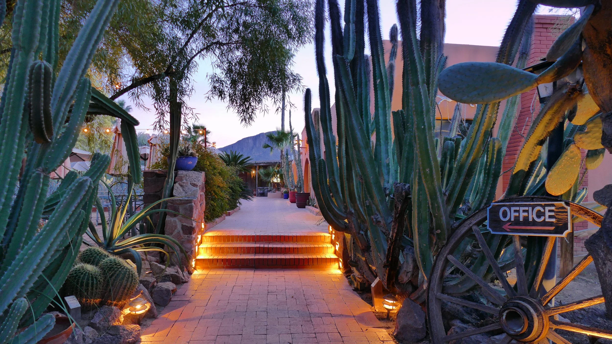 An Upscale Arizona Dude Ranch Experience in the Sonoran Desert