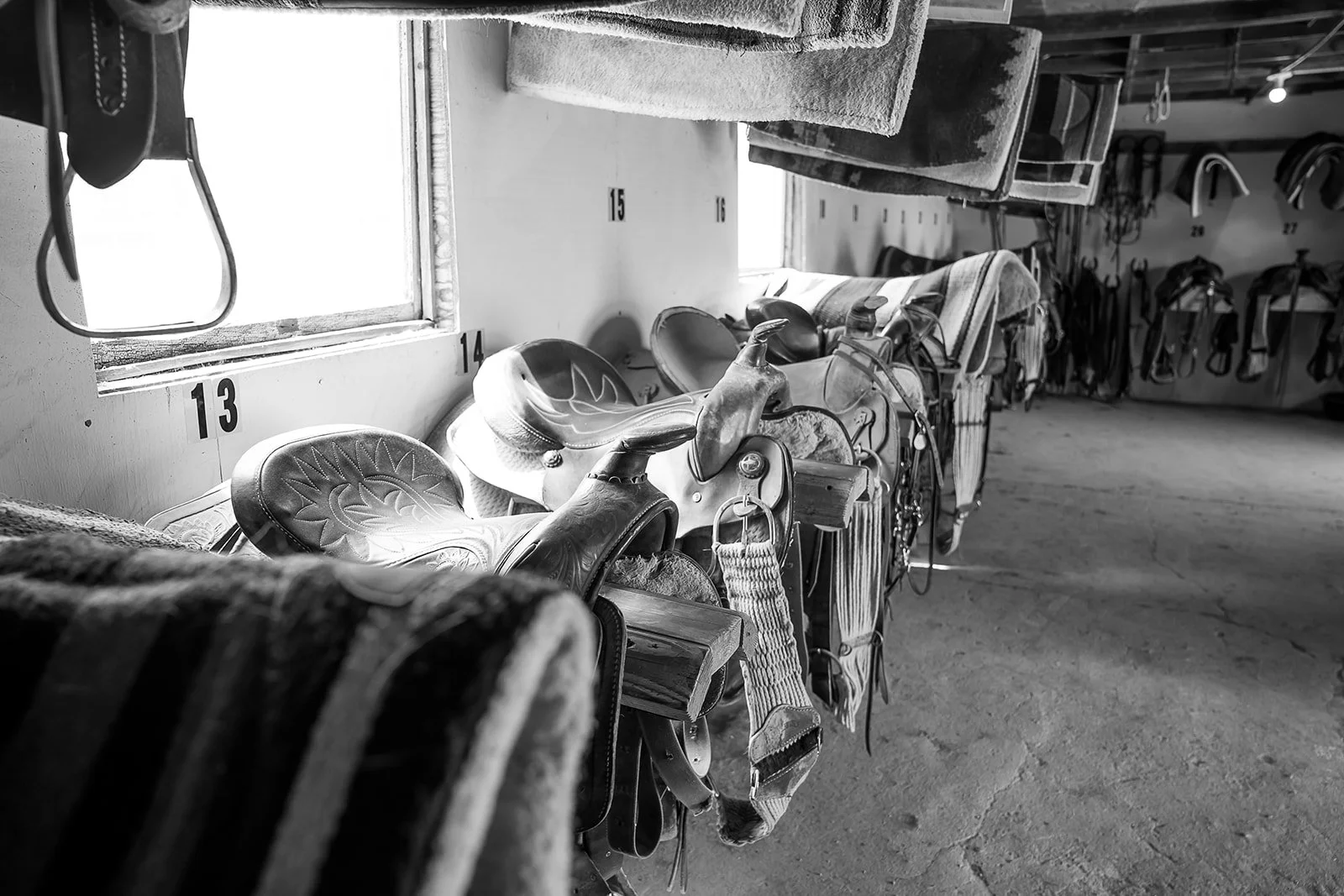 EQX Photo-238_websize.jpg