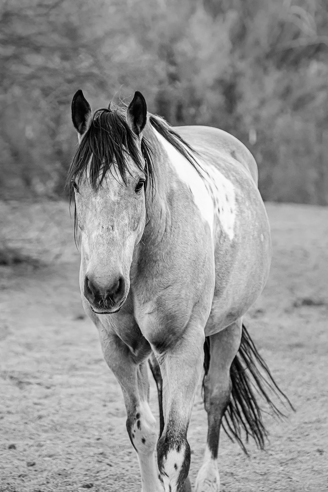 EQX Photo-234_websize.jpg