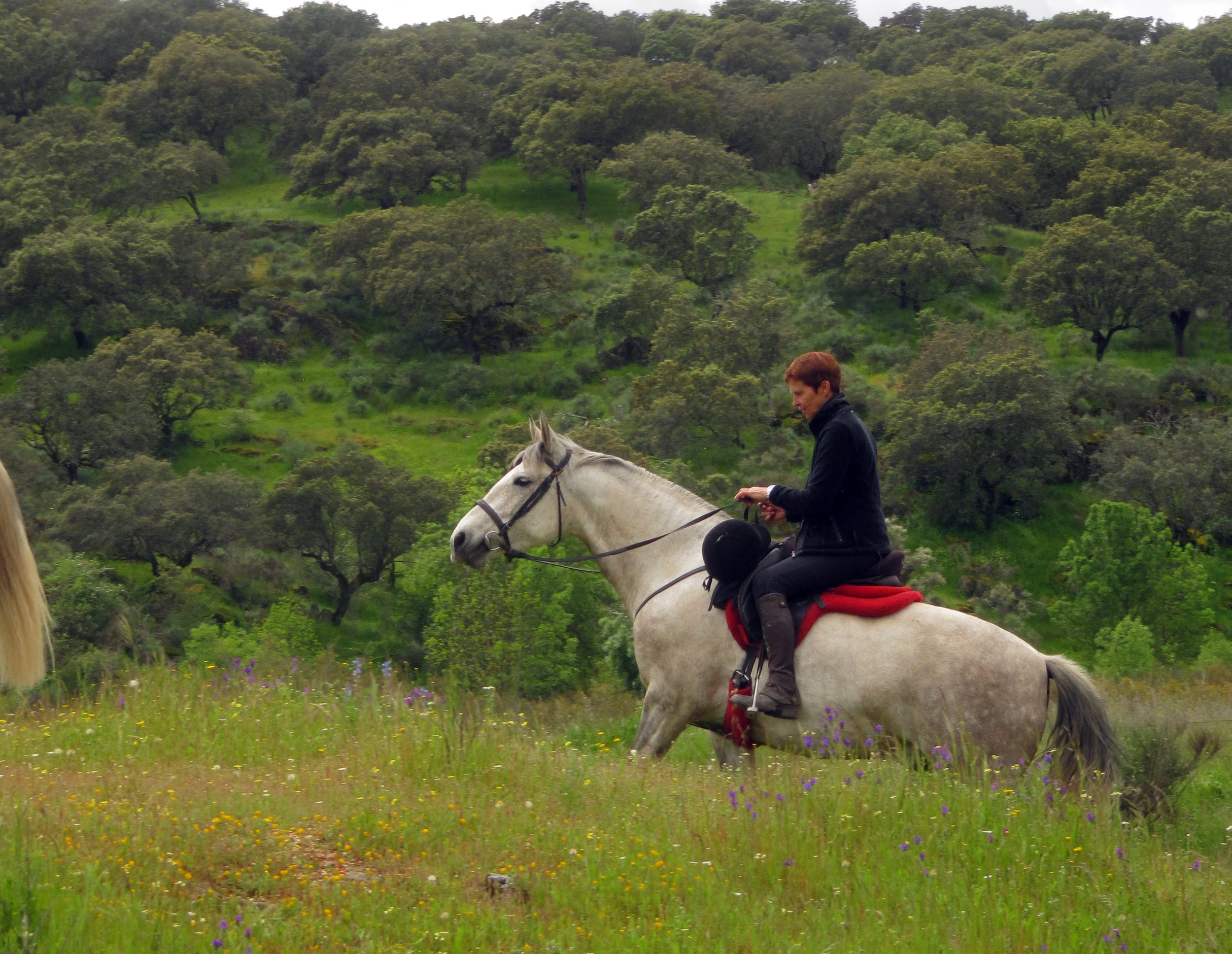 MONFRAGUE NATIONAL PARK (6).jpg