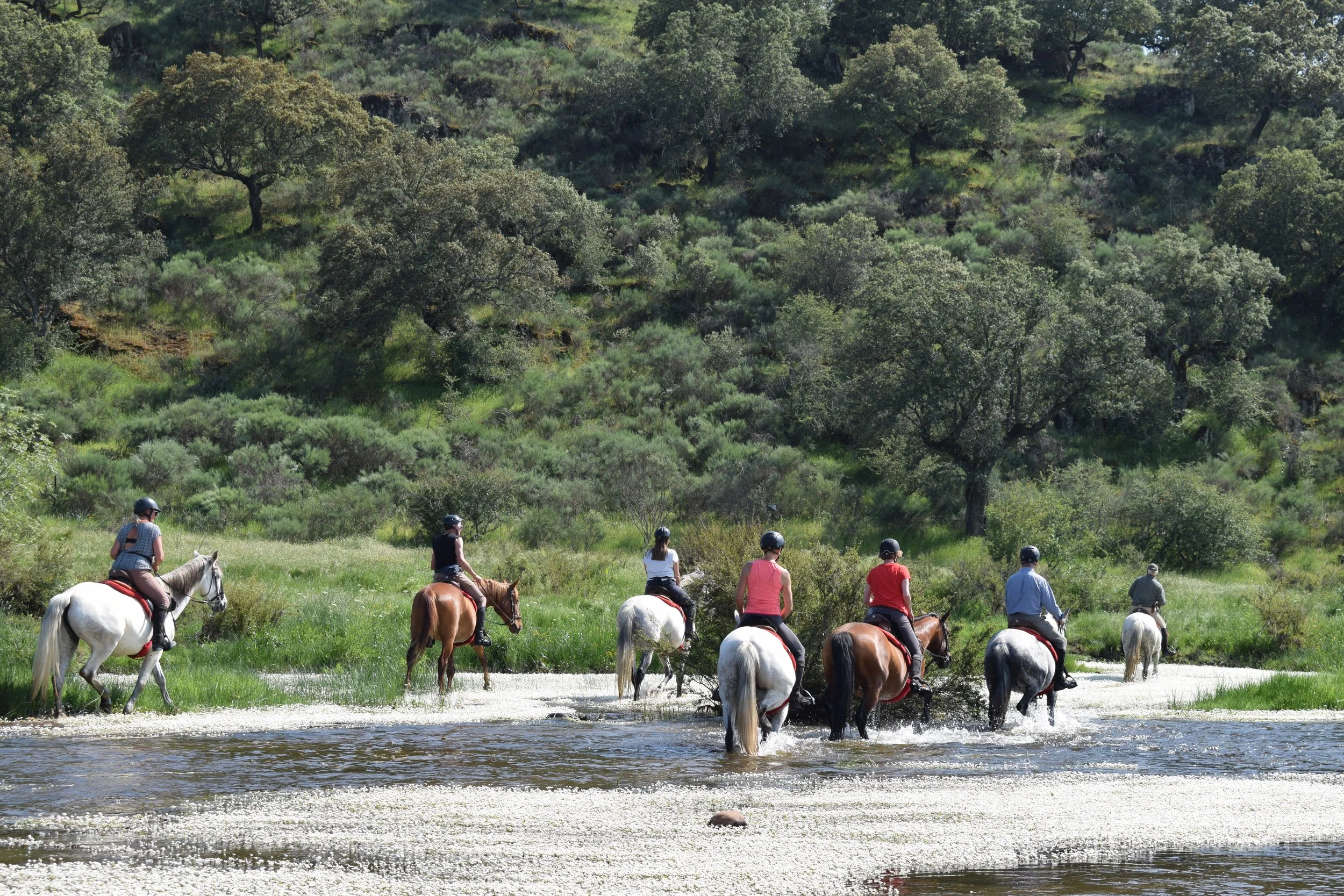 NATIONAL PARK_EXTREMADURA_SPAIN (11).JPG