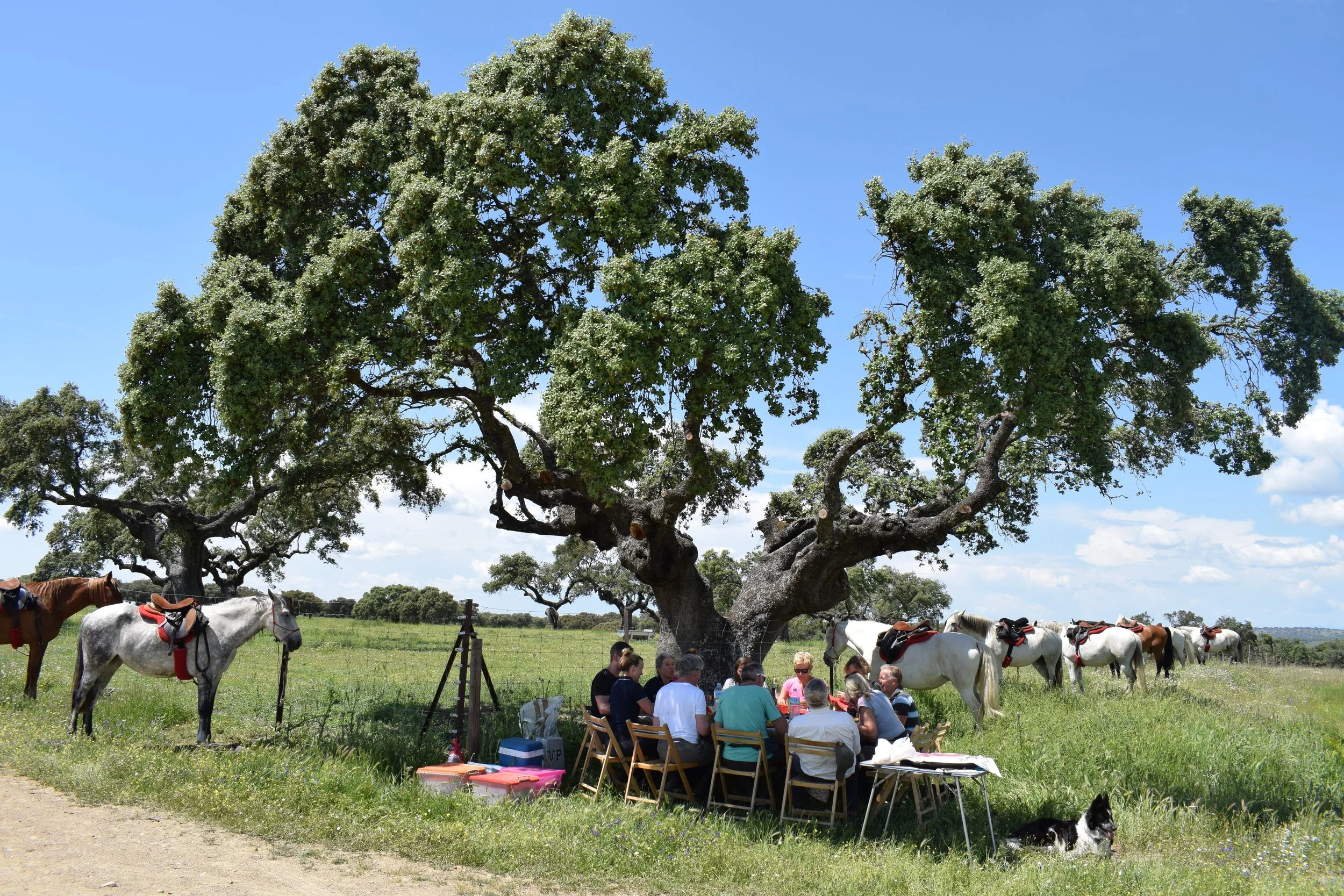 NATIONAL PARK_EXTREMADURA_SPAIN (4).JPG