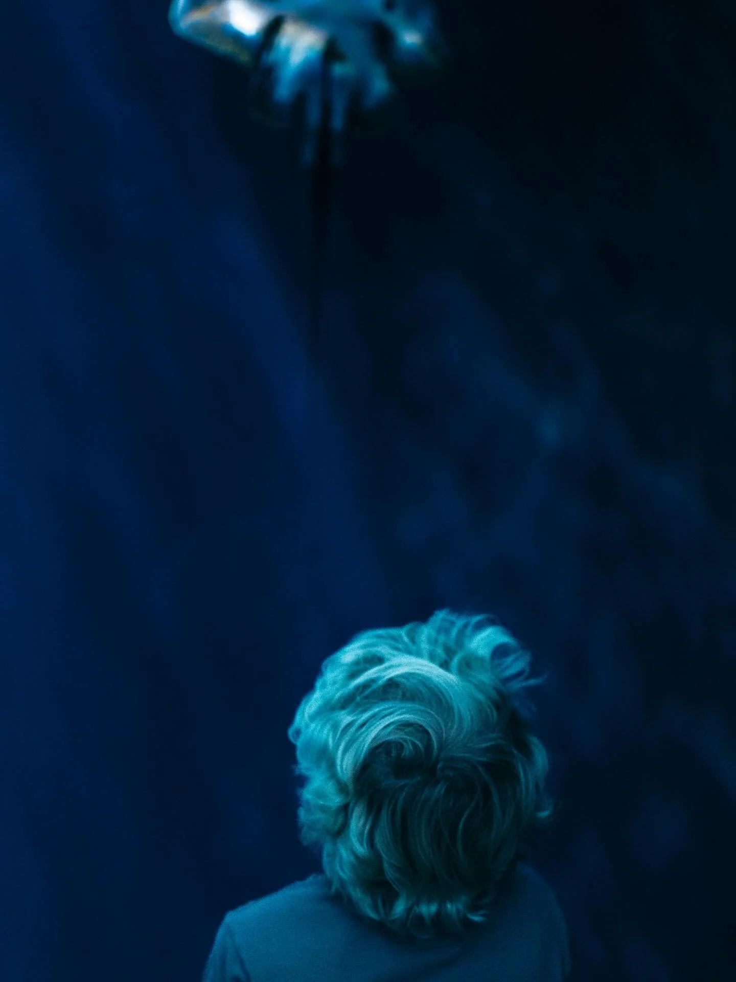 Je voelt de verwondering, de magie van de diepe zee en het dierenrijk. Voor even lijkt het alsof fantasie en werkelijkheid naadloos in elkaar overlopen. Kijk je mee?
#fotografie #fotograafzeist #fotograafausterlitz#fotograafdriebergen #portret #creat