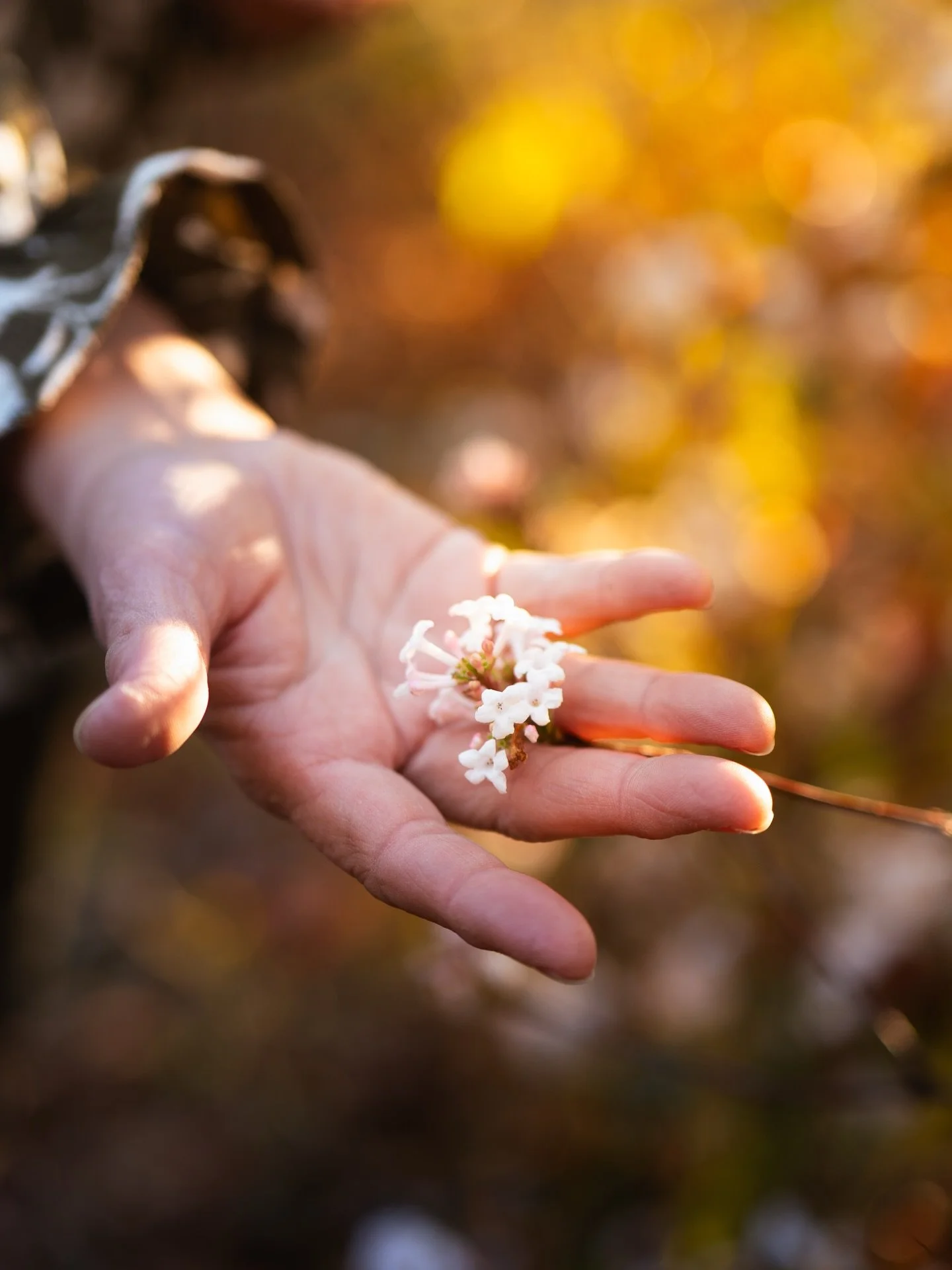 ✨🍂
&bull;
&bull;
&bull;
#fotograaf #utrechtseheuvelrug #foto #lumix