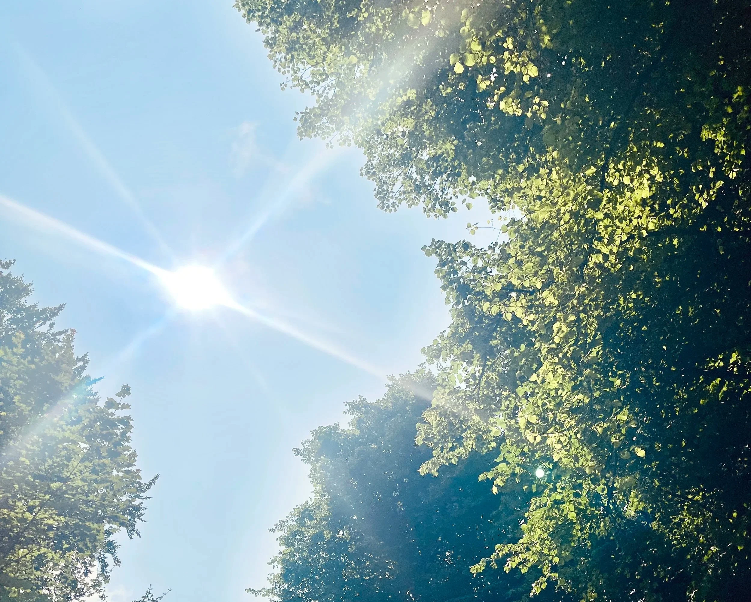 Groepsexpeditie Zomer