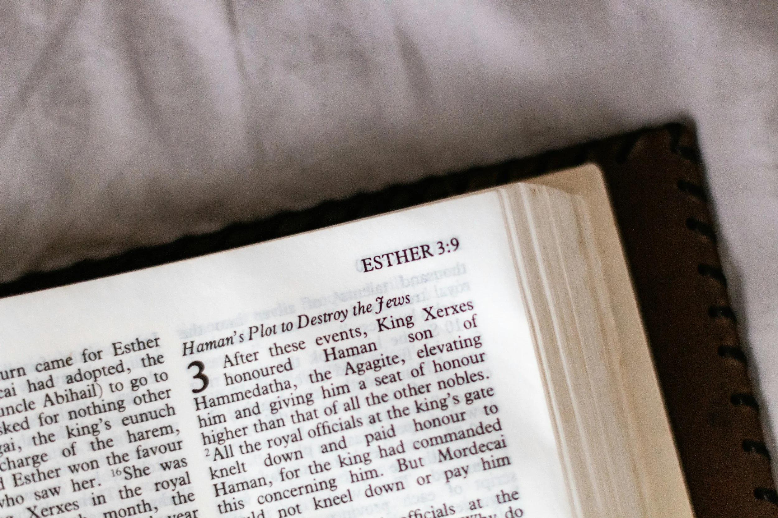 Close-up of an open book showing a section titled 'Esther 3:9', with text about Queen Esther and King Xerxes.