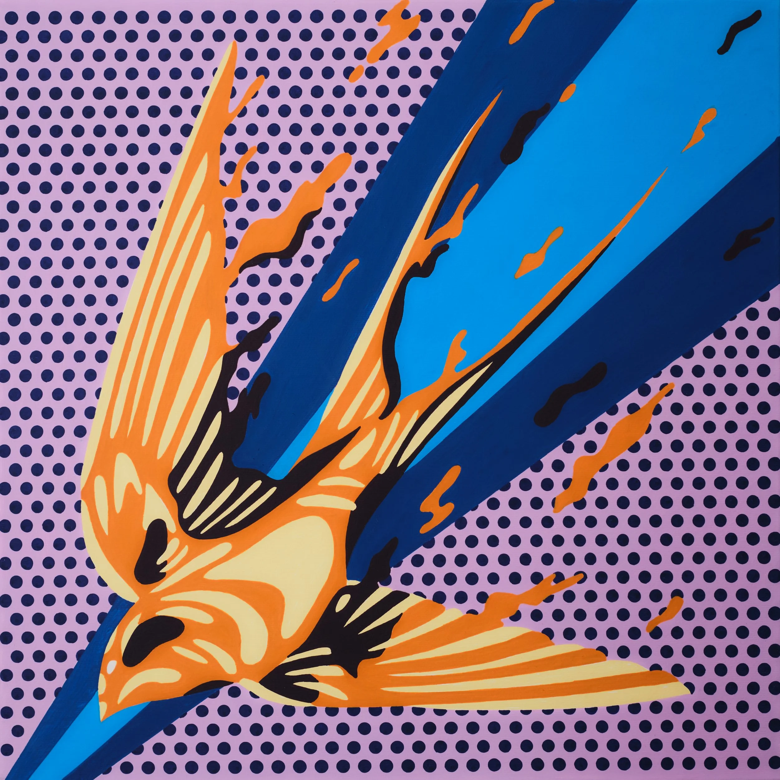 swallow 1