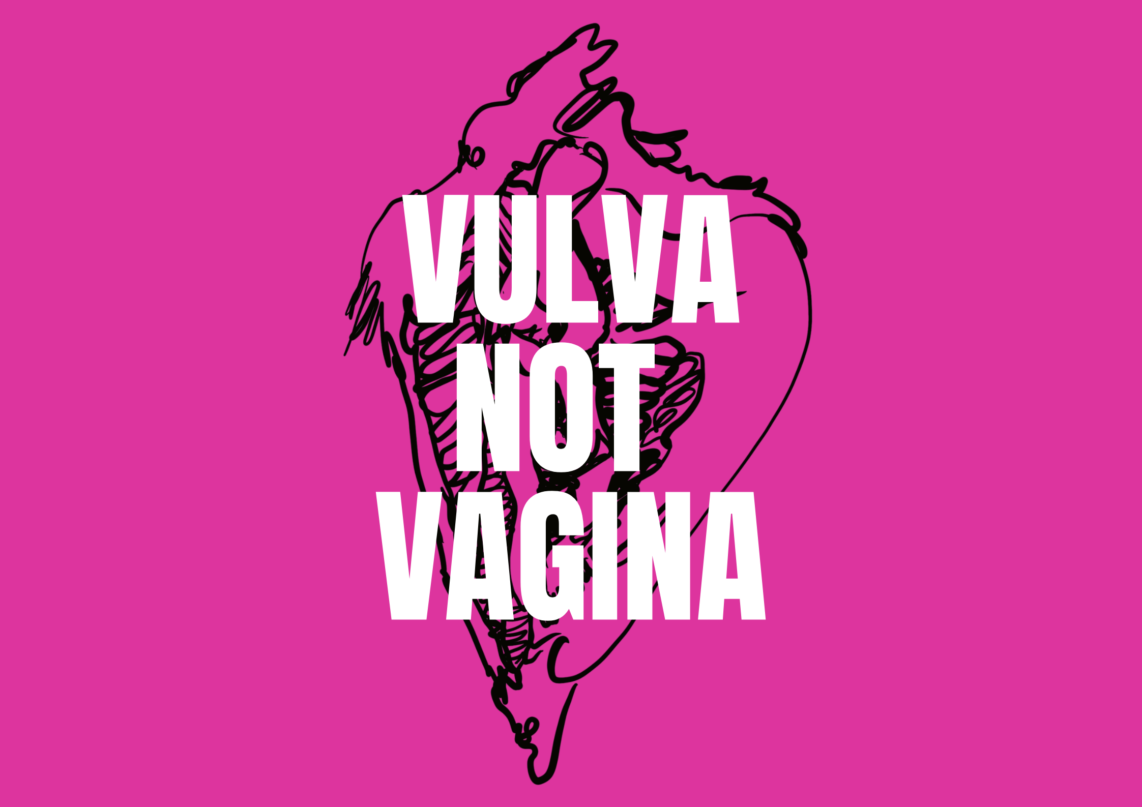 Vulva not vagina 