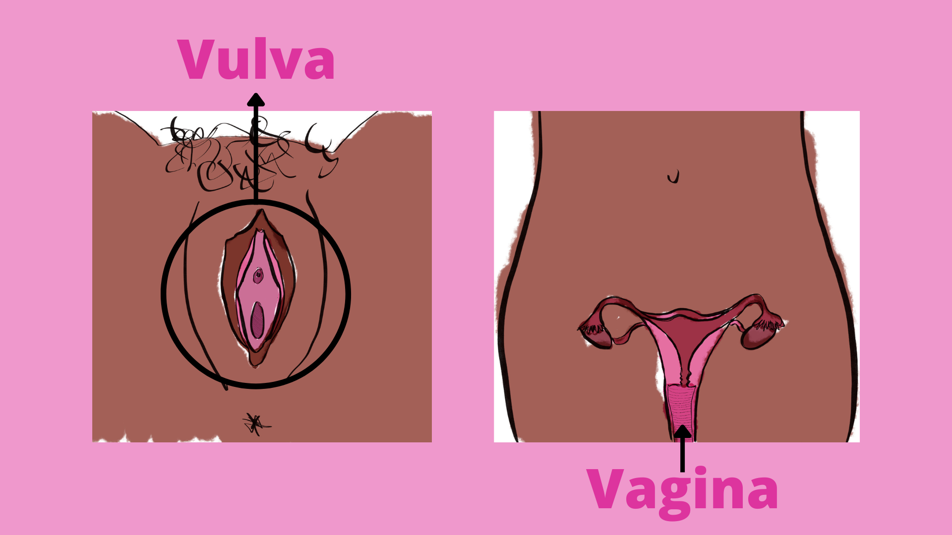 vagina pain, pain during sex, sex therpay