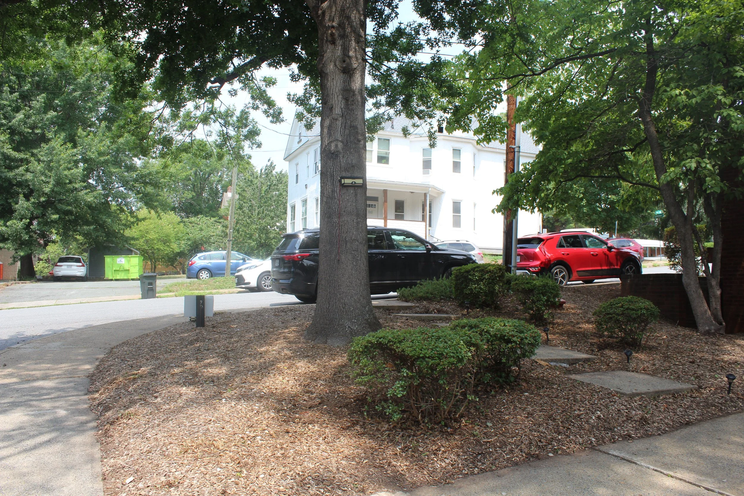 A residential street scene with a large tree in the foreground, a white multi-story house in the background, and several parked cars including a black SUV and a red SUV. The scene is shaded by the tree's foliage.