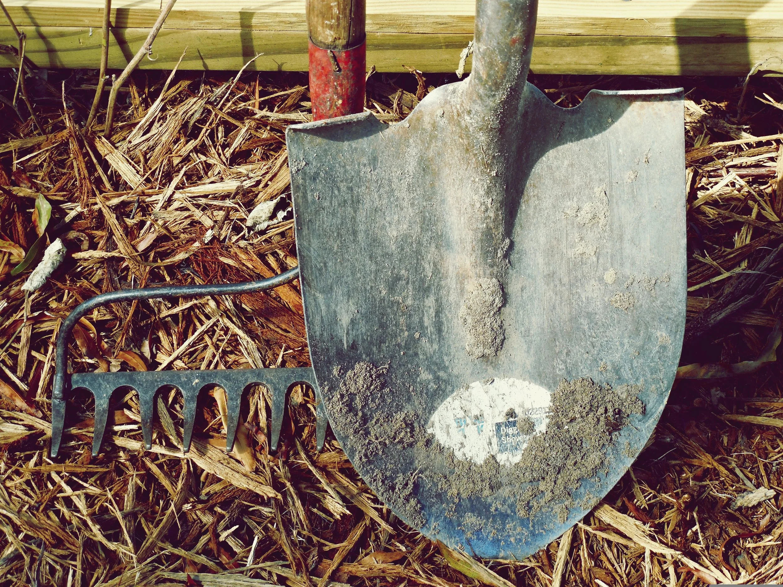 Shovel, Rake, and a Mulch Patch