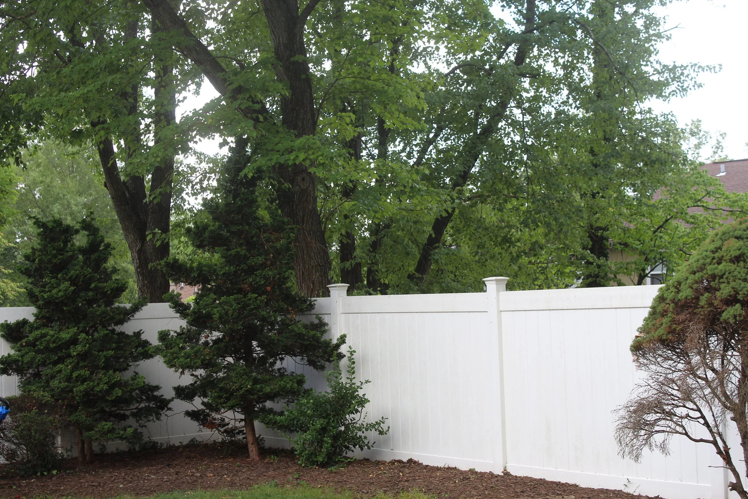 A backyard with large green trees, bushes, and a white wooden fence. Part of a roof of a house is visible in the background.