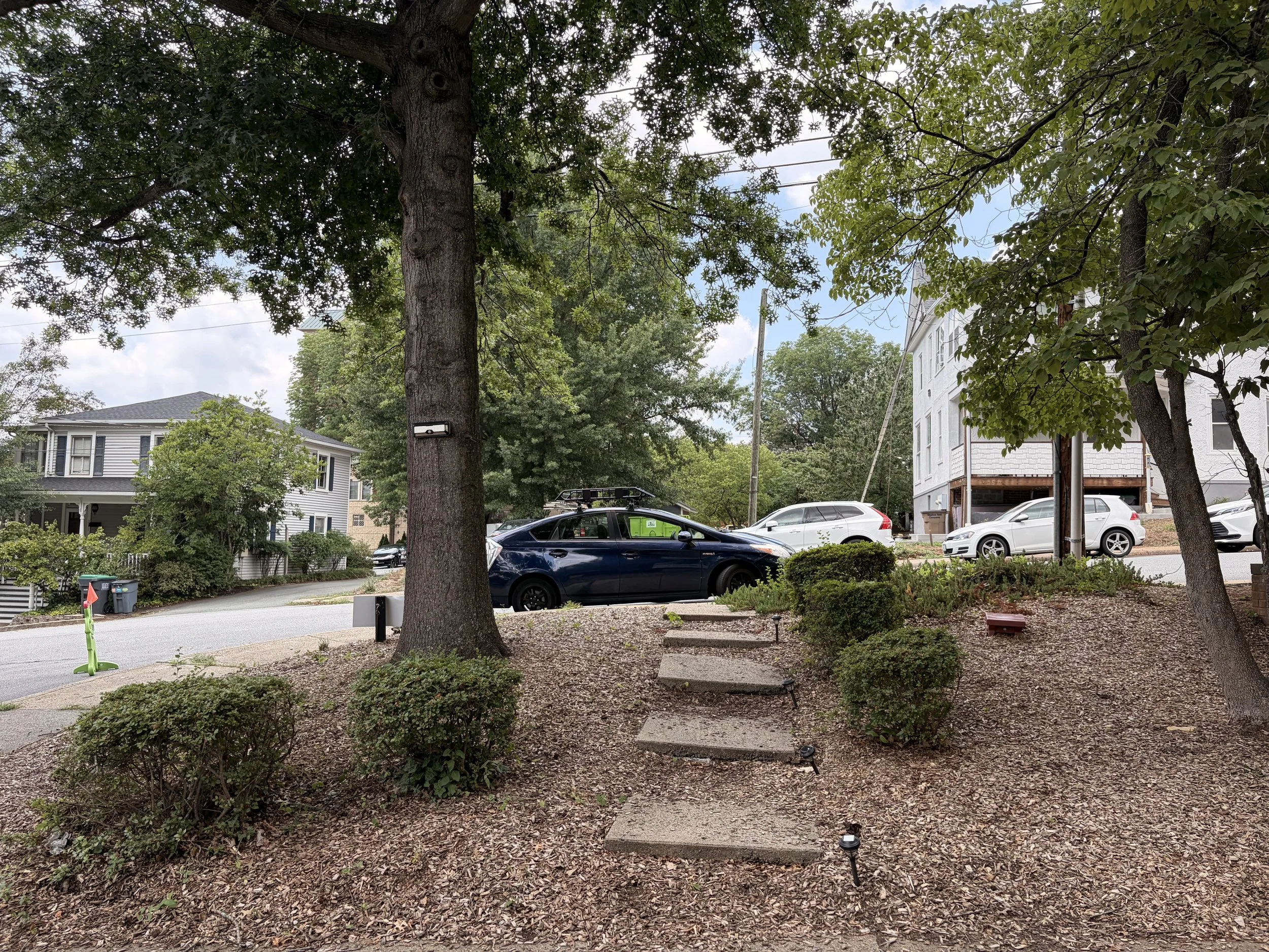 Residential neighborhood yard with trees, parked cars, house, and a small garden in the foreground.