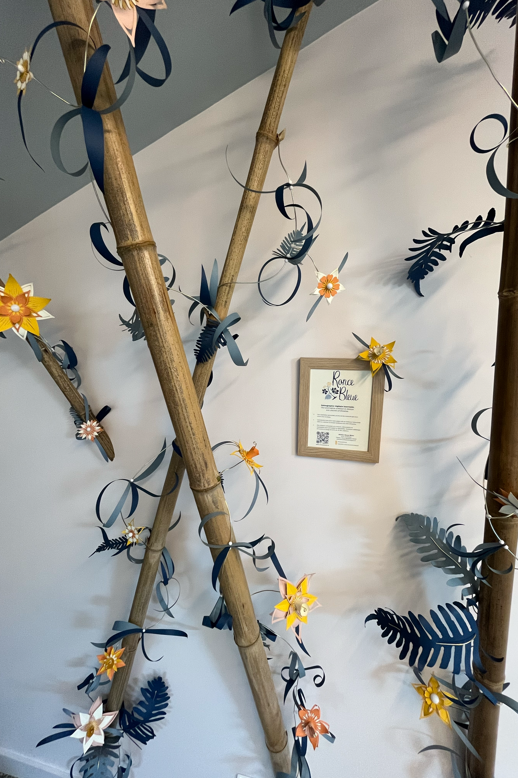 Installation végétale avec des bambous dans une salle de réunion pour Maison Axélie, nouveau lieu de travail de l'entreprise Marcireau à Niort.