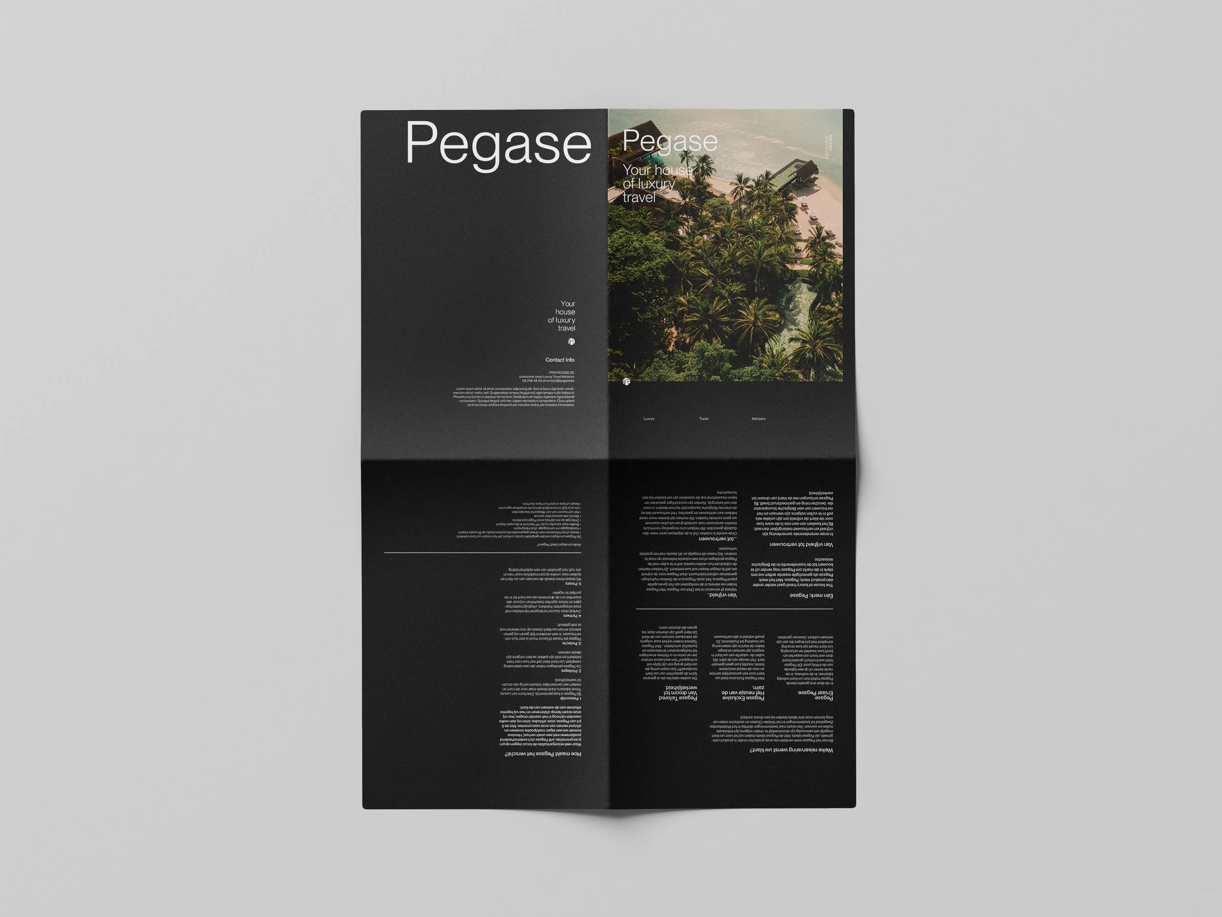 pegase_privileges_Folded_Paper_Mockup_4_v02 copy.jpg