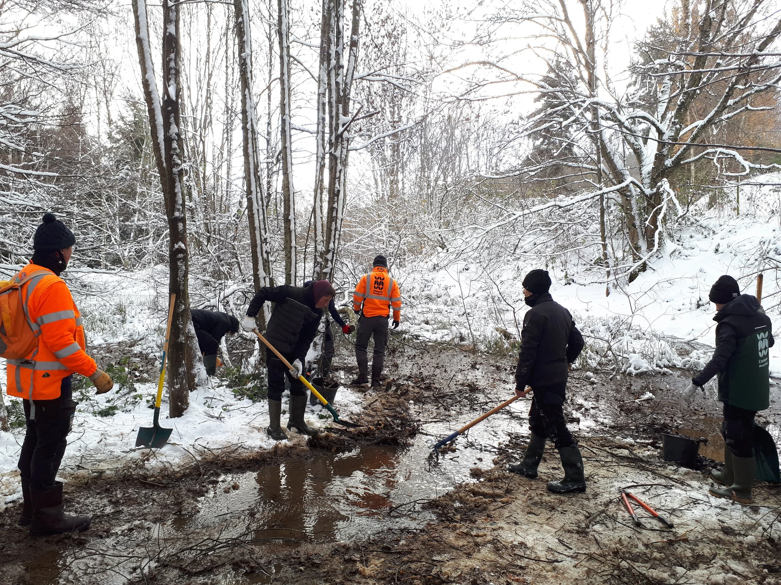 Restauration de mares dans le Pilat
