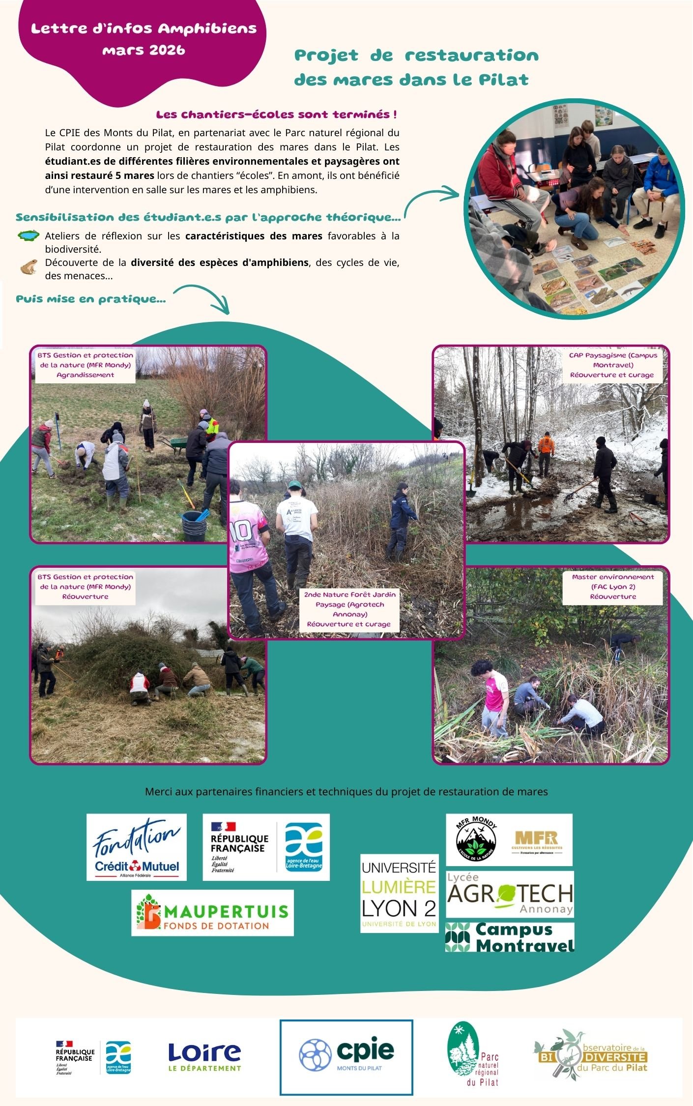 Lettre d’infos Amphibiens     Mars 2026