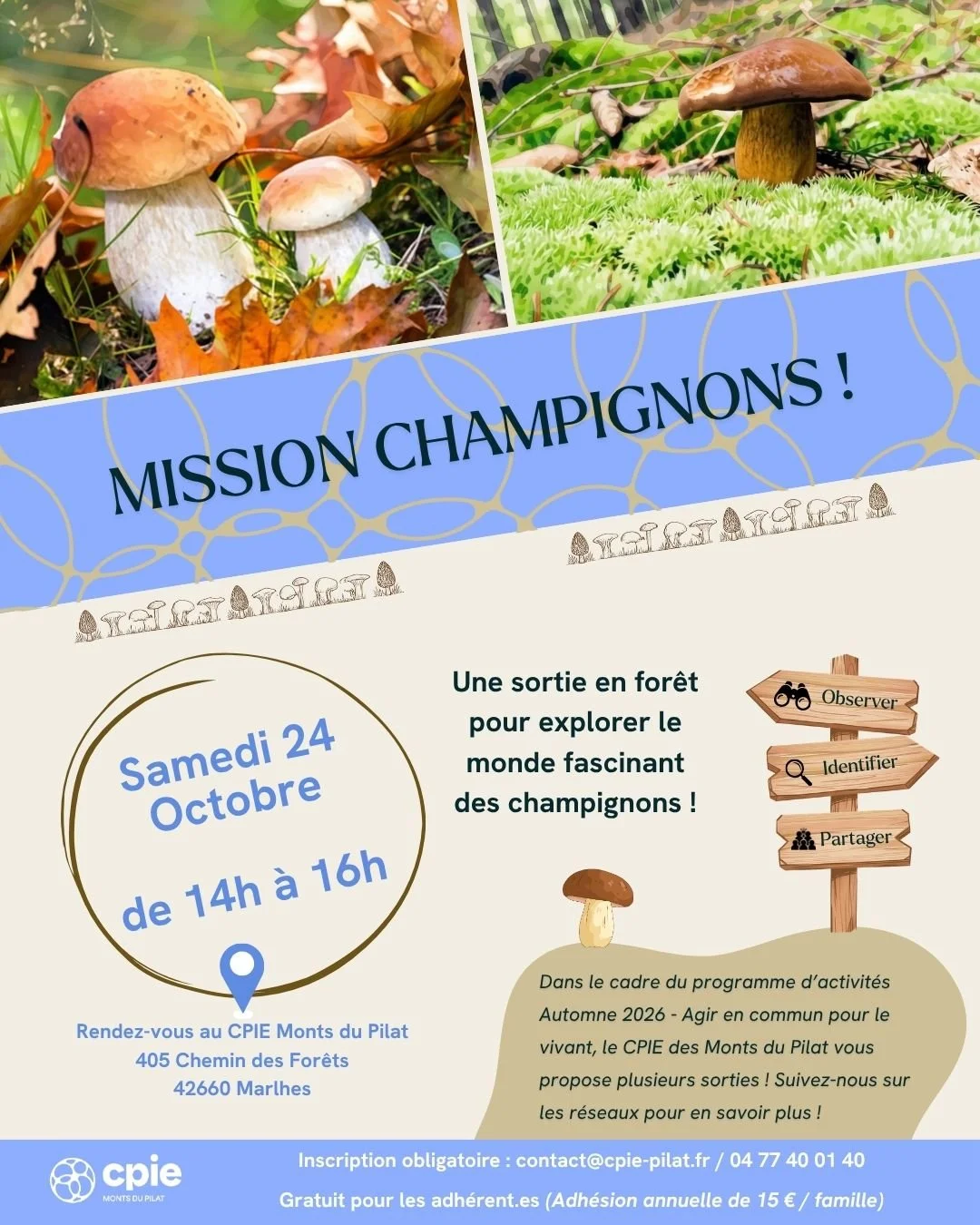 Sortie “Mission Champignons !” le samedi 24 octobre de 14h à 16h