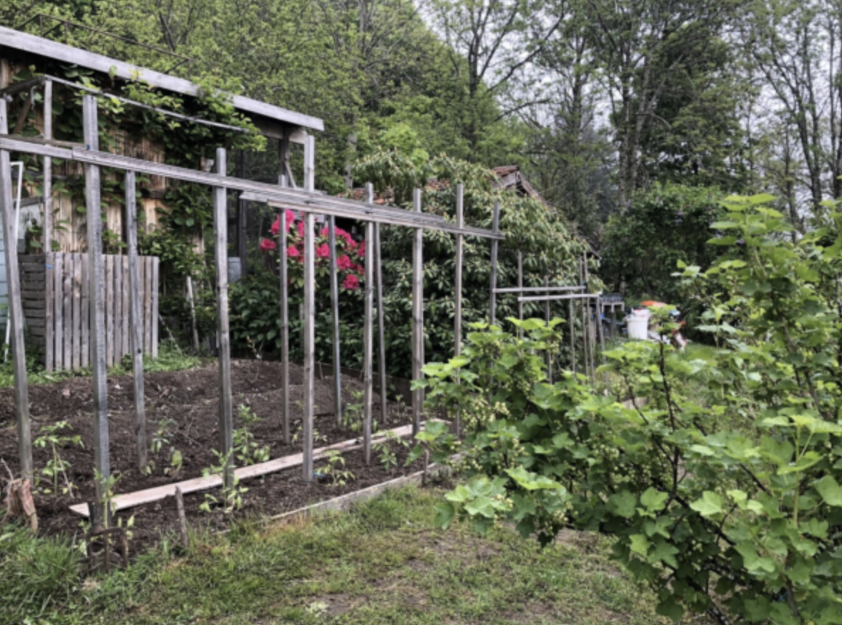 Bienvenue dans mon jardin au naturel