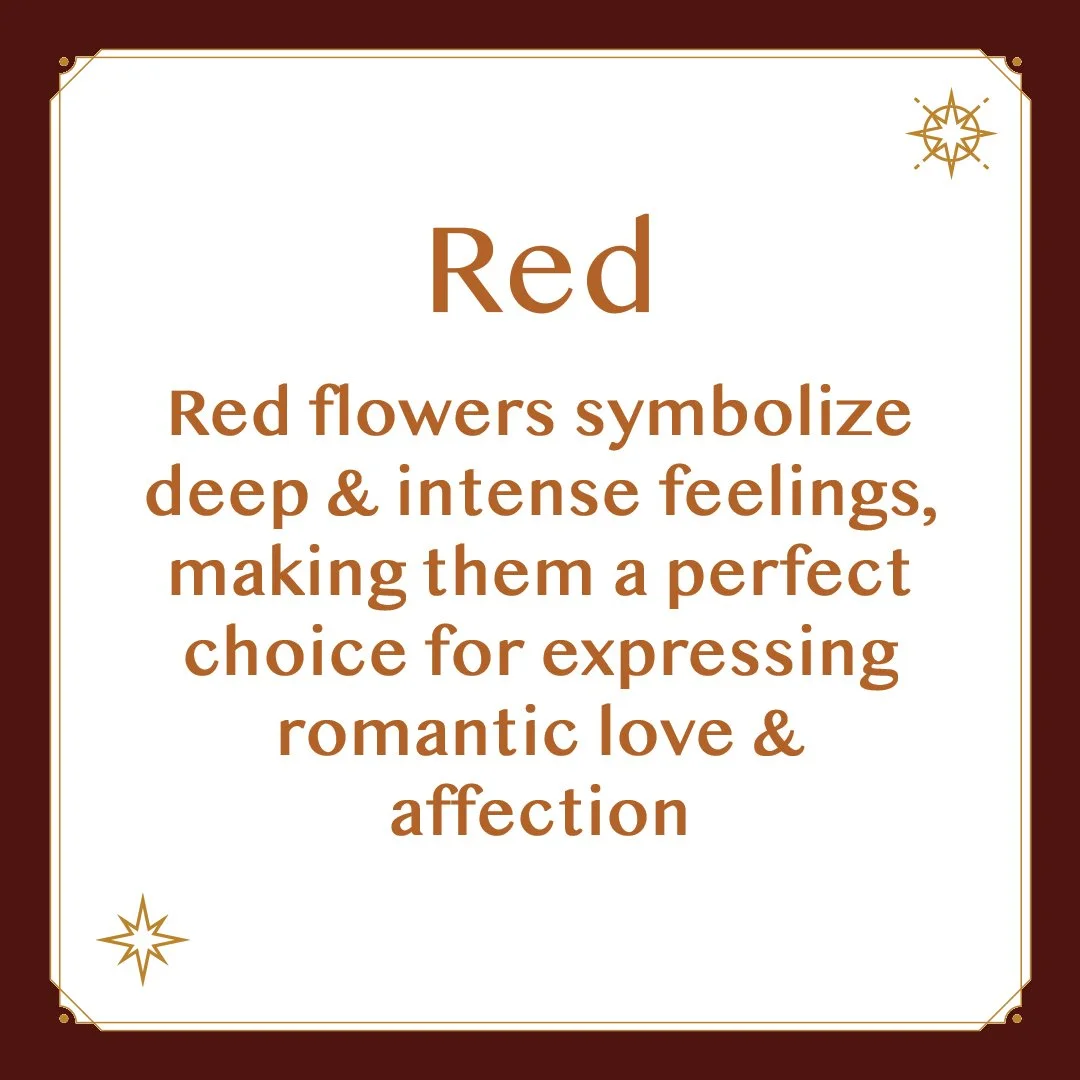 Red 2.jpg