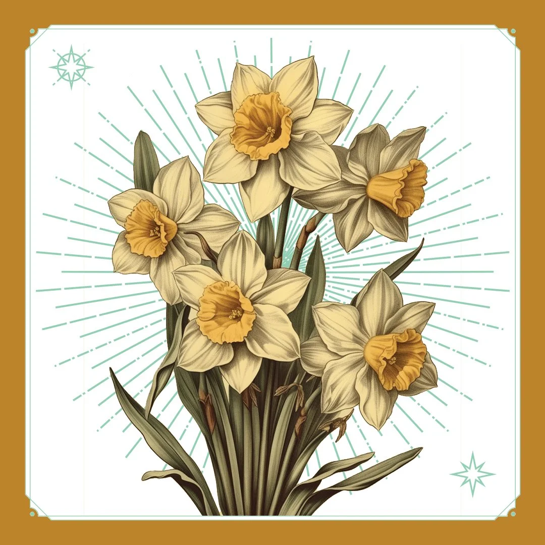 Narcissus 1.jpg