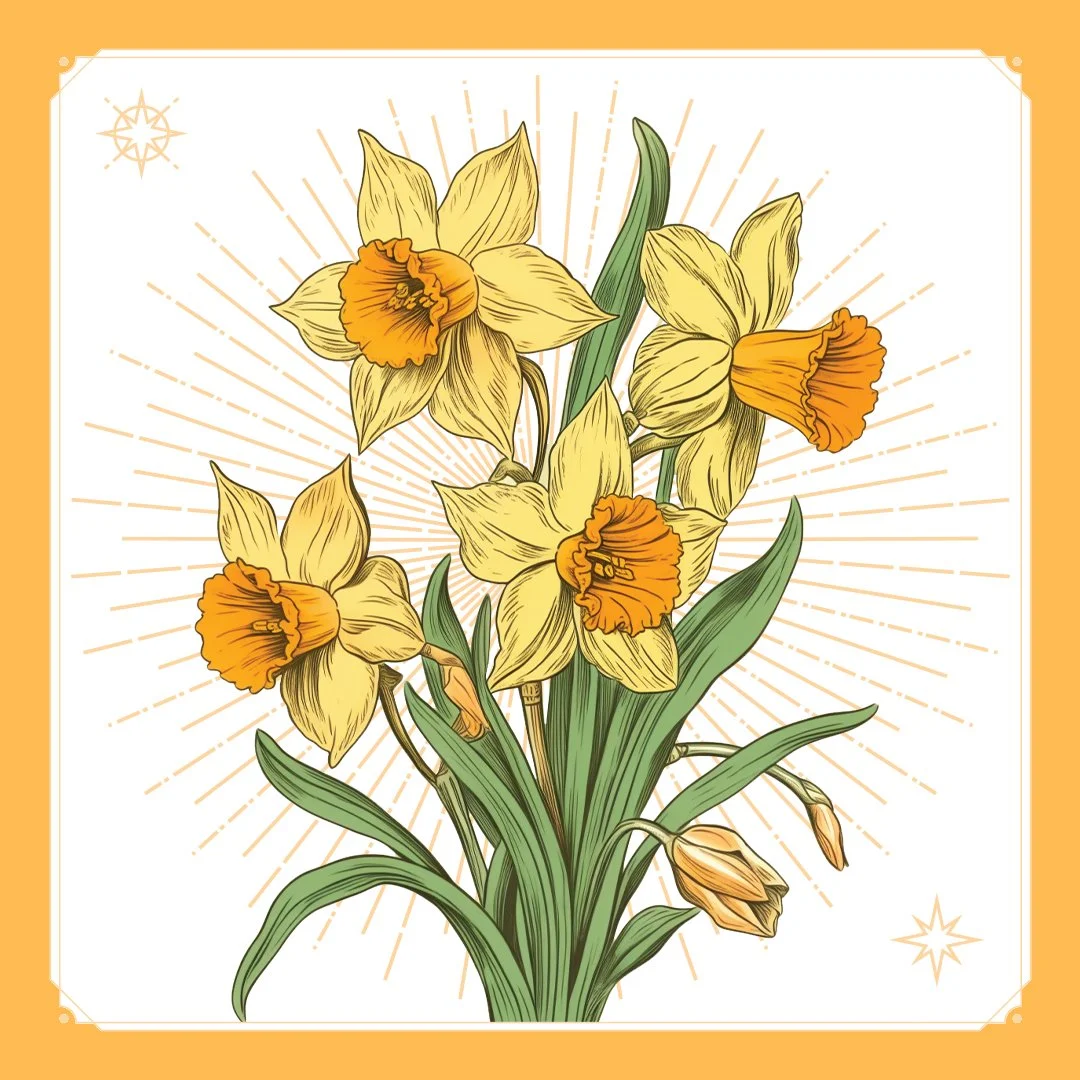 Daffodil 1.jpg