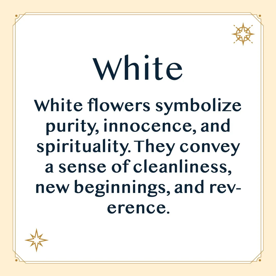 White 2.jpg