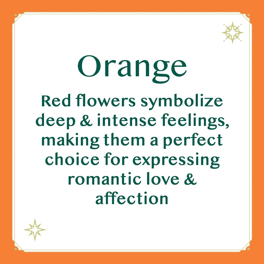 Orange 2.jpg