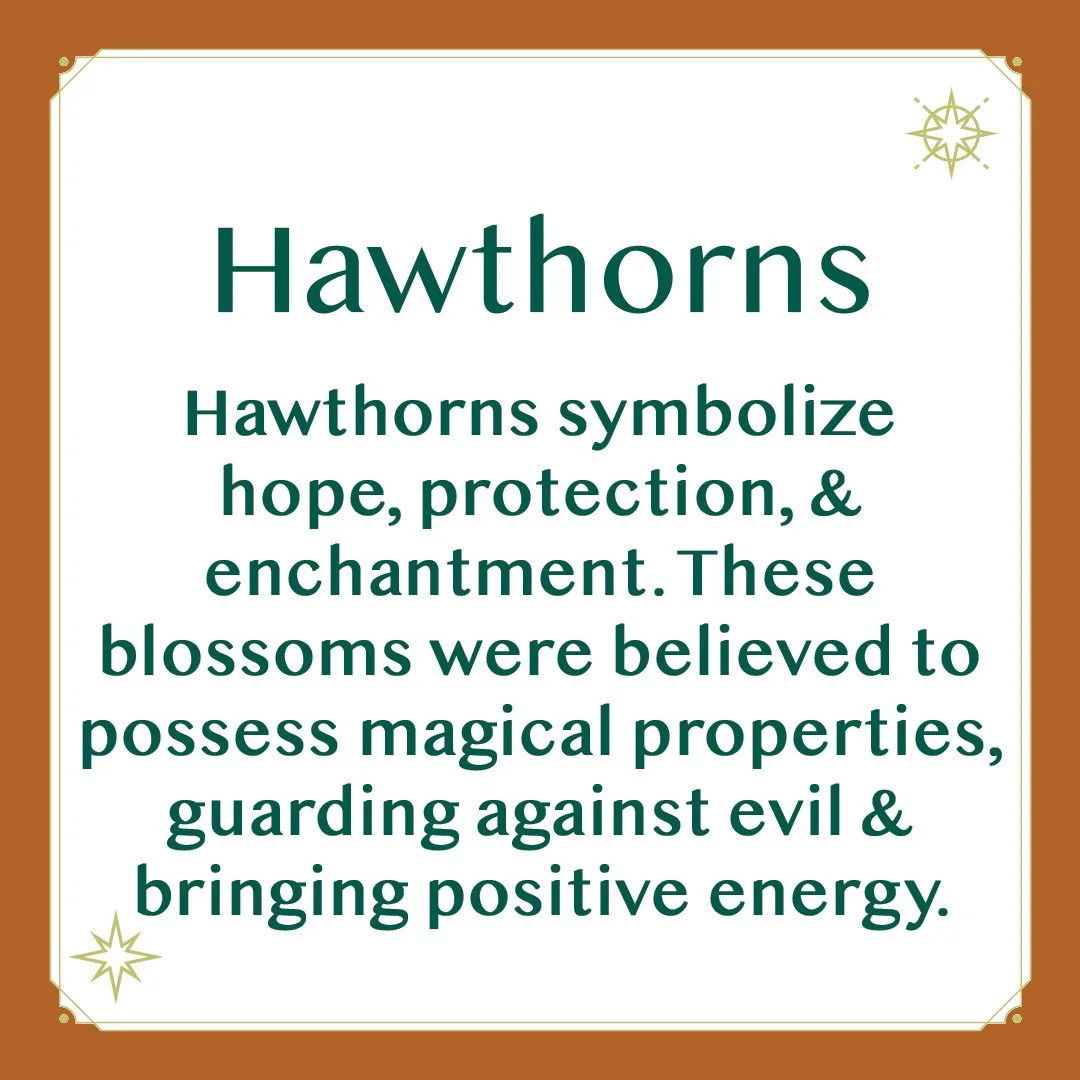 Hawthorns 2.jpg