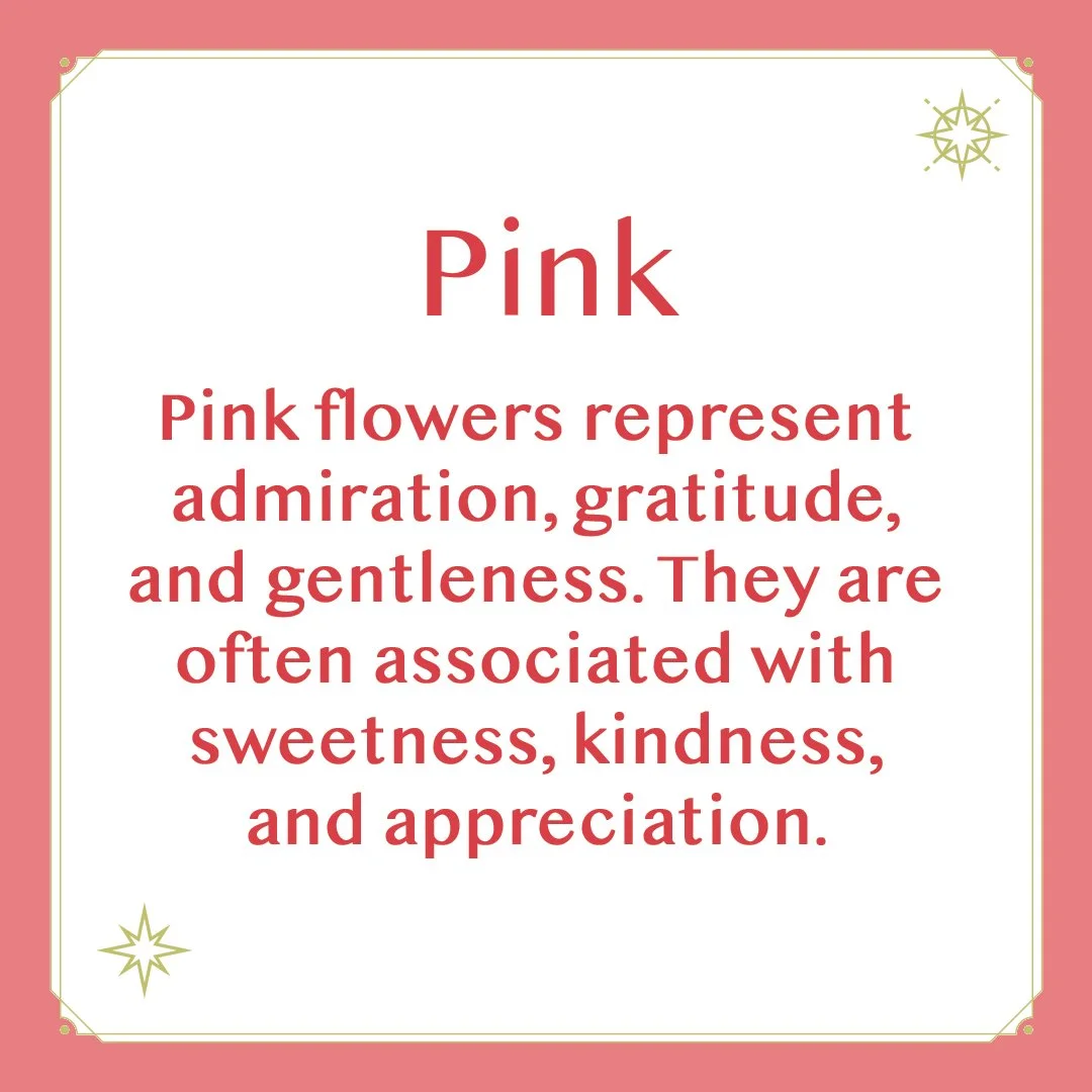 Pink 2.jpg