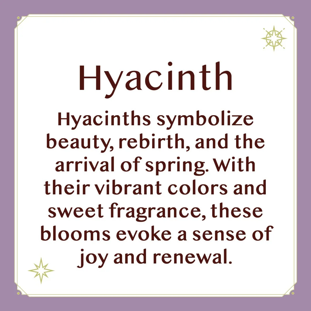 Hyacinth 2.jpg