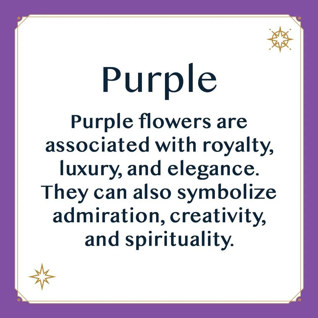 Purple 2.jpg