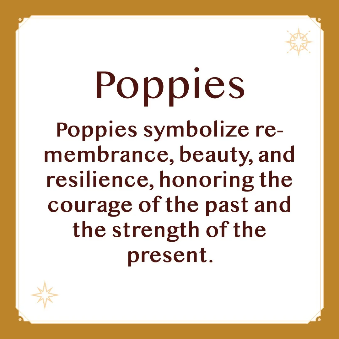 Poppies 2.jpg