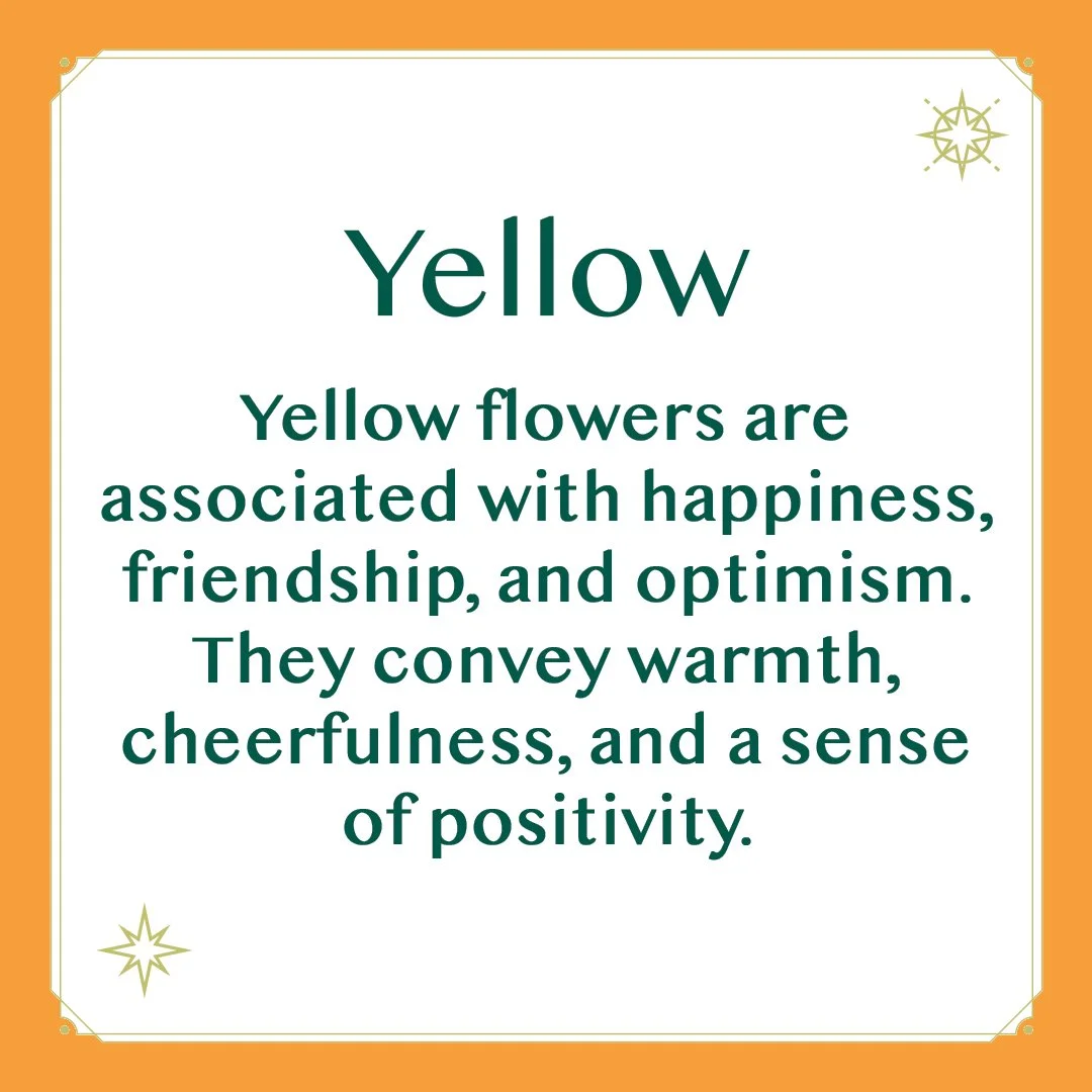Yellow 2.jpg